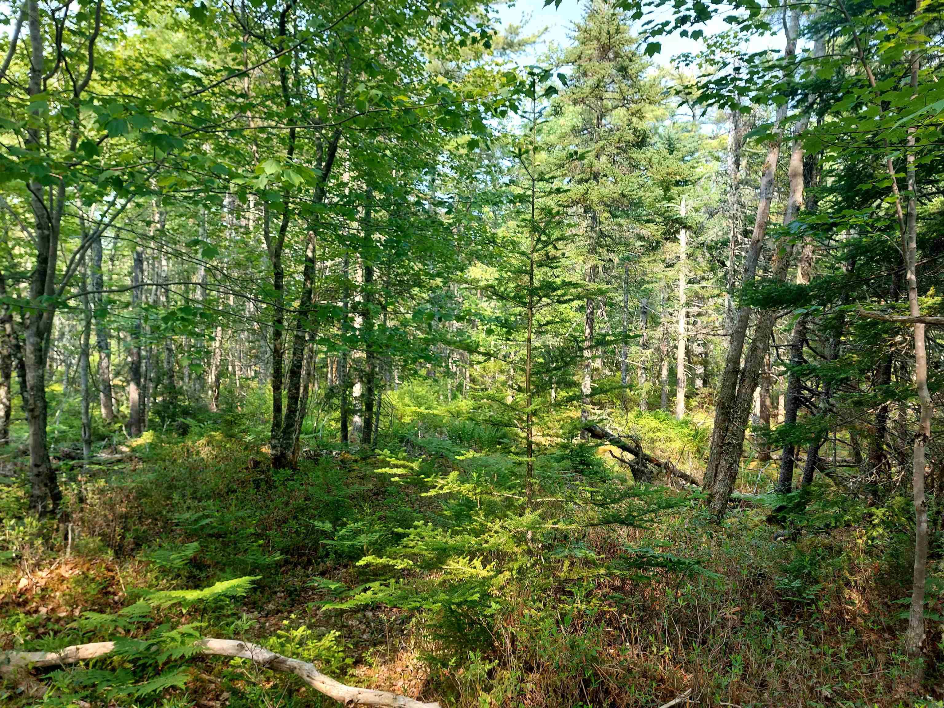 $49,000.00: Lot Hartz Point Road, Hartz Point