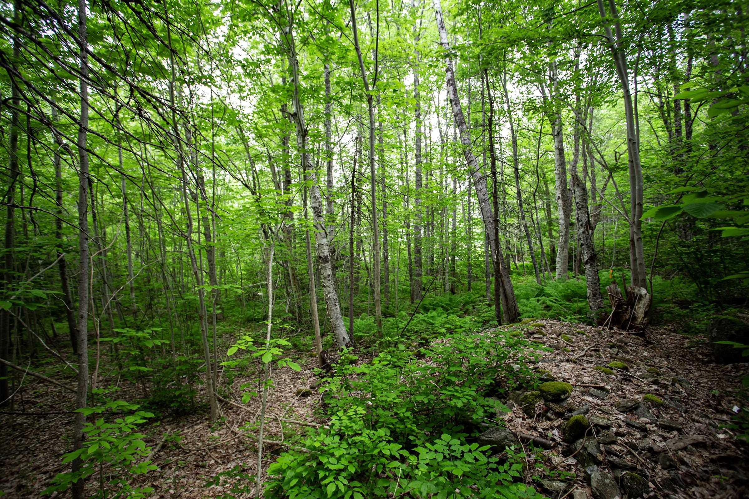 $105,000.00: Lot Best Road, Coldbrook
