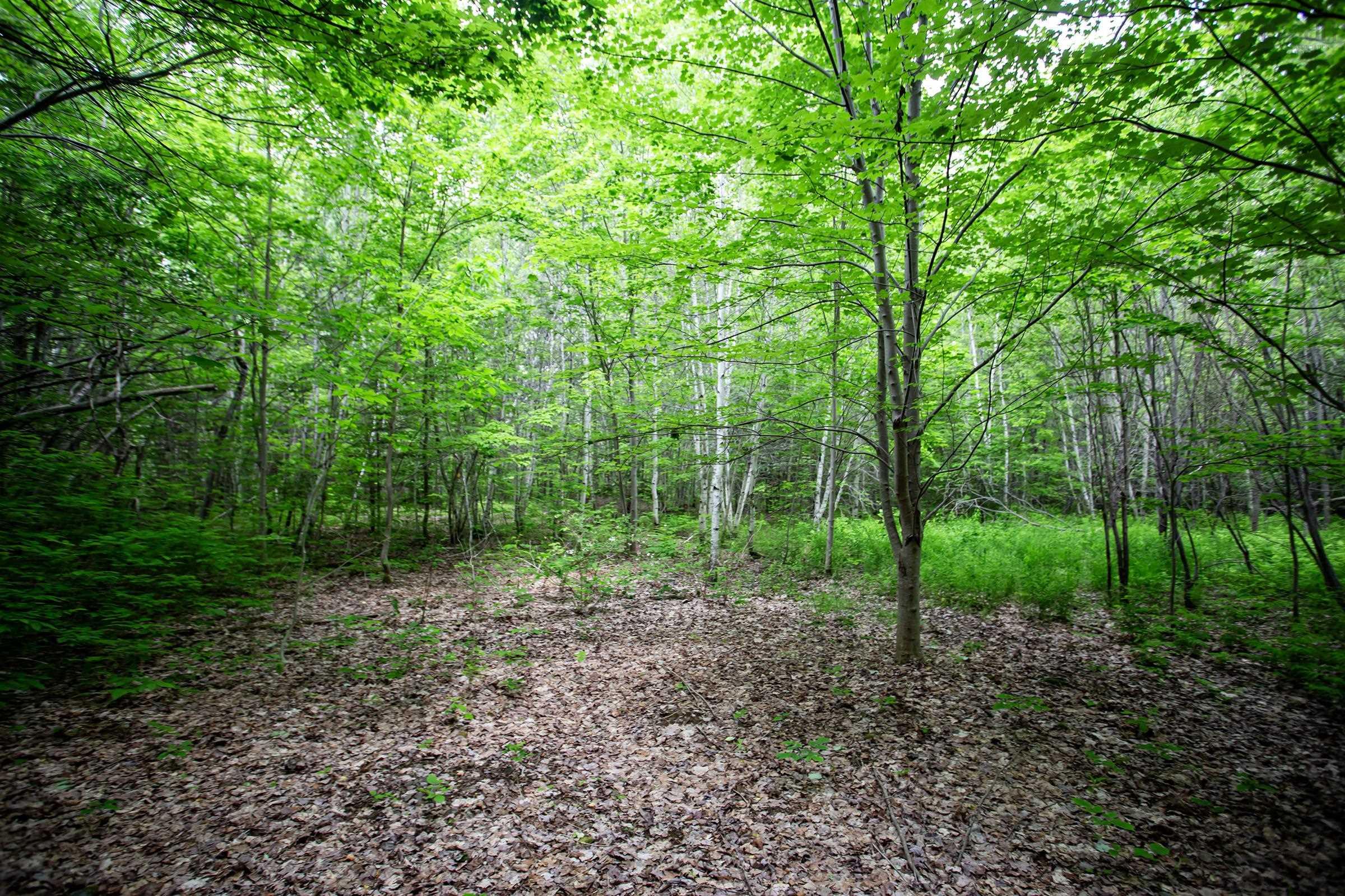 $105,000.00: Lot Best Road, Coldbrook