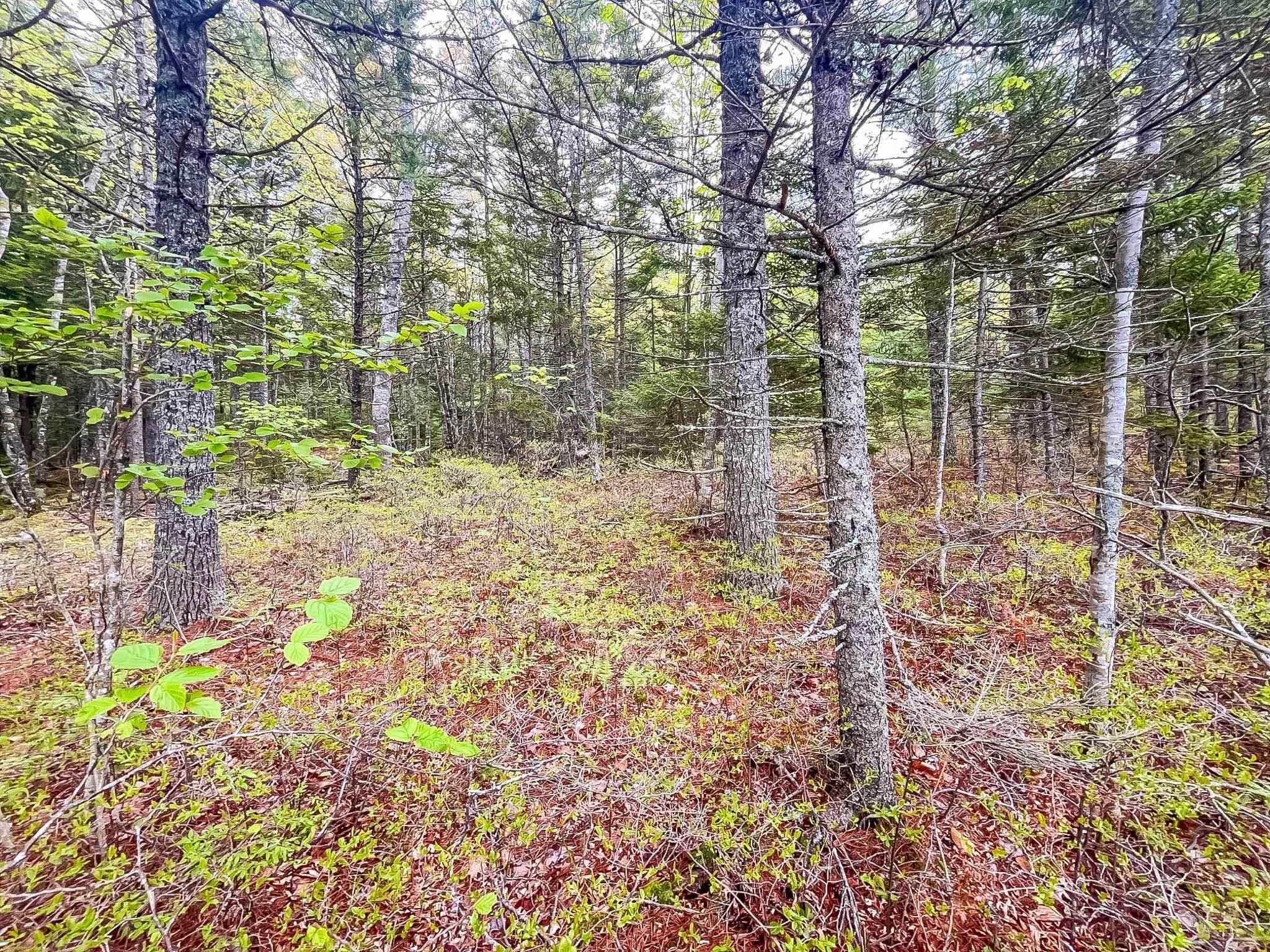 $49,900.00: Lot PID 60630142 Caribou Lake, Middle New Cornwall