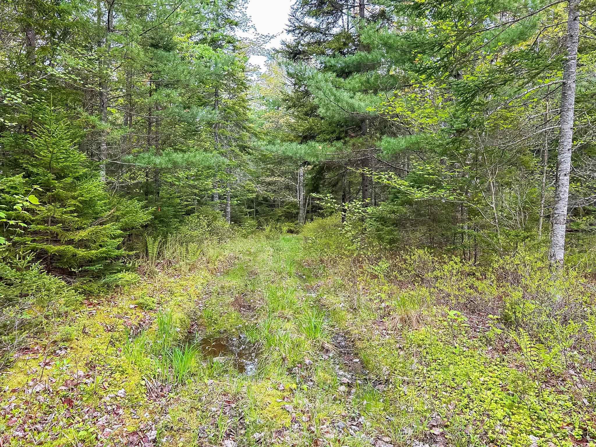 $49,900.00: Lot PID 60630142 Caribou Lake, Middle New Cornwall