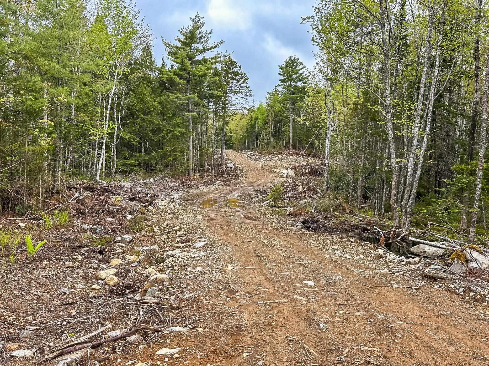 $49,900.00: Lot PID 60630142 Caribou Lake, Middle New Cornwall