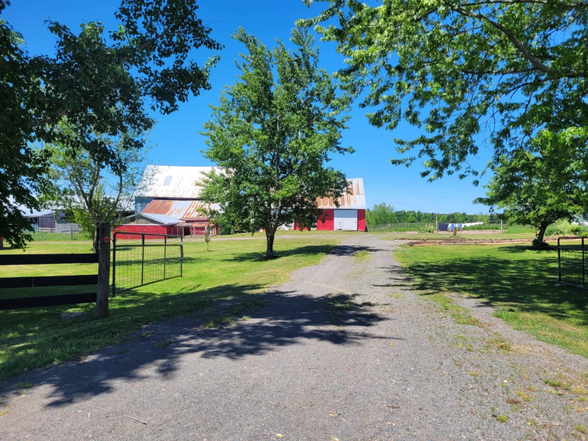 $1,250,000.00: 7729 Highway 321, Roslin