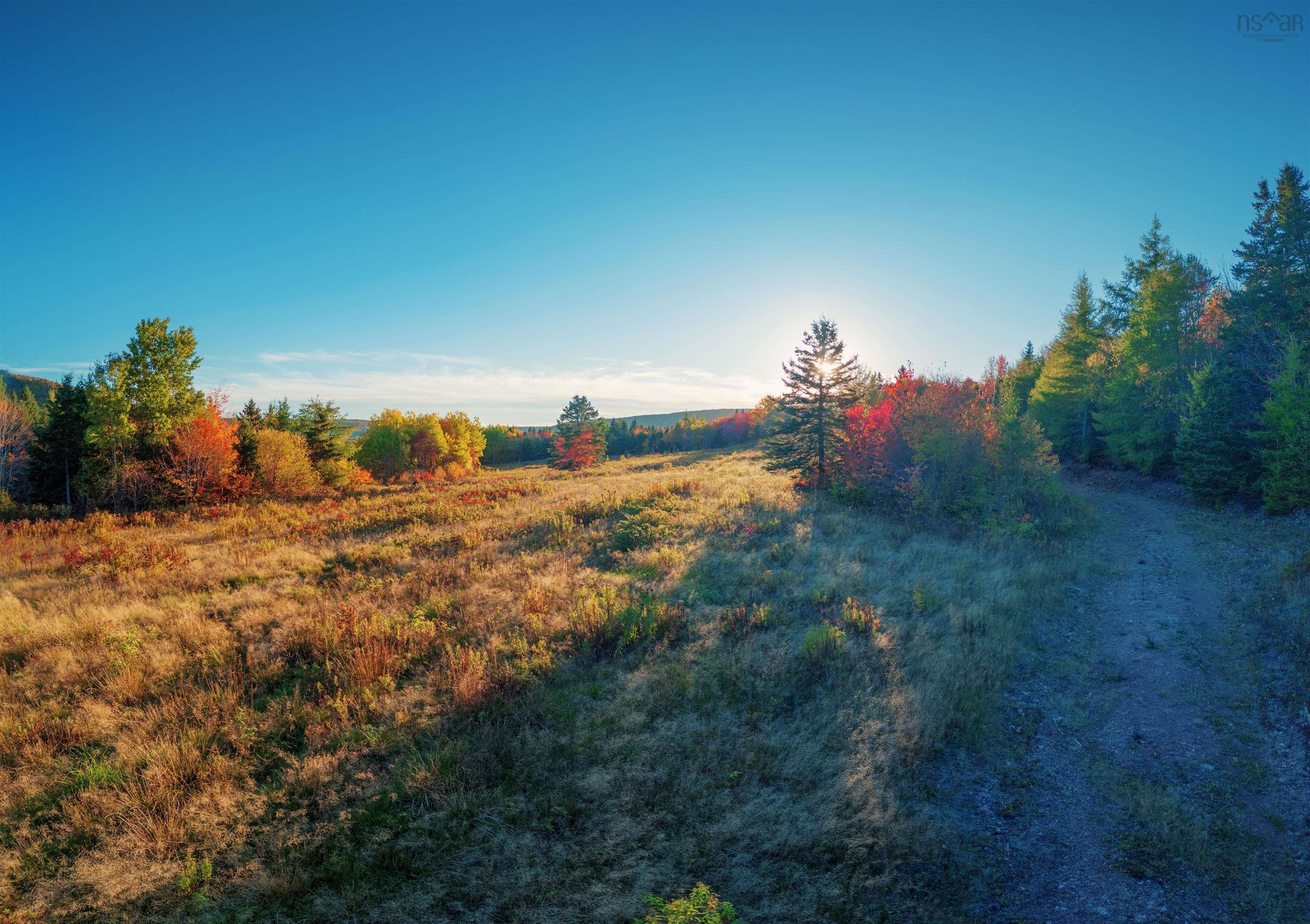 $172,500.00: Acreage Ainslie Glen Road, Ainslie Glen