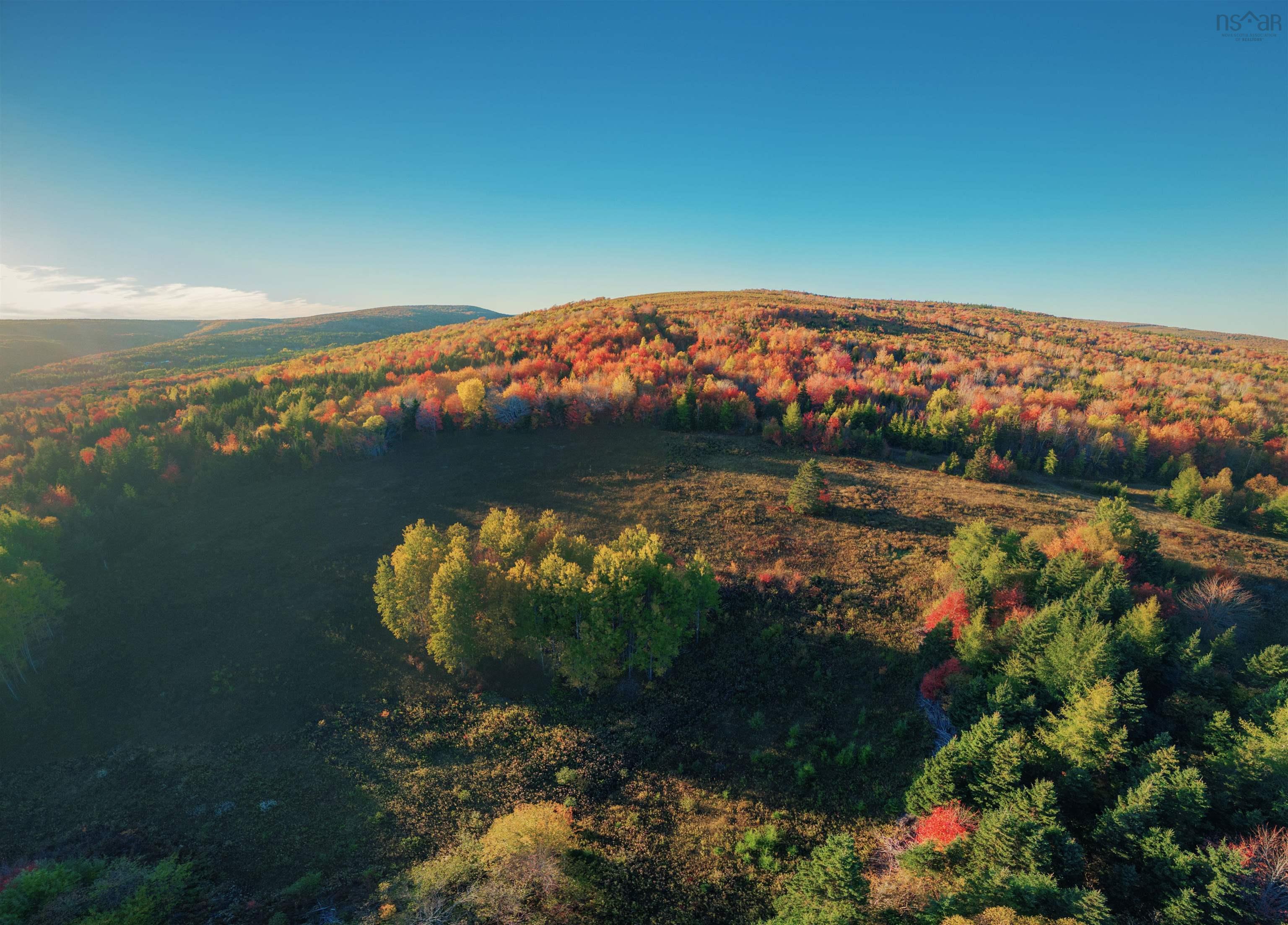 $172,500.00: Acreage Ainslie Glen Road, Ainslie Glen