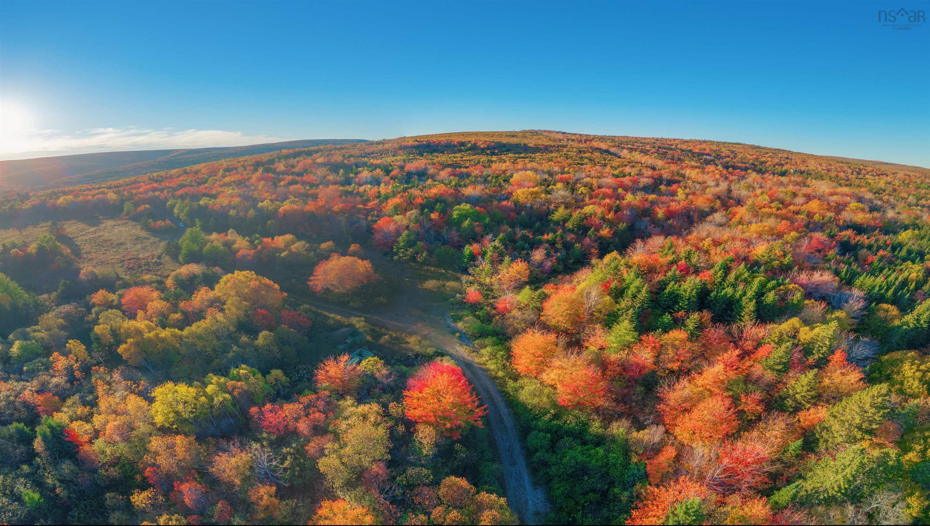 $172,500.00: Acreage Ainslie Glen Road, Ainslie Glen