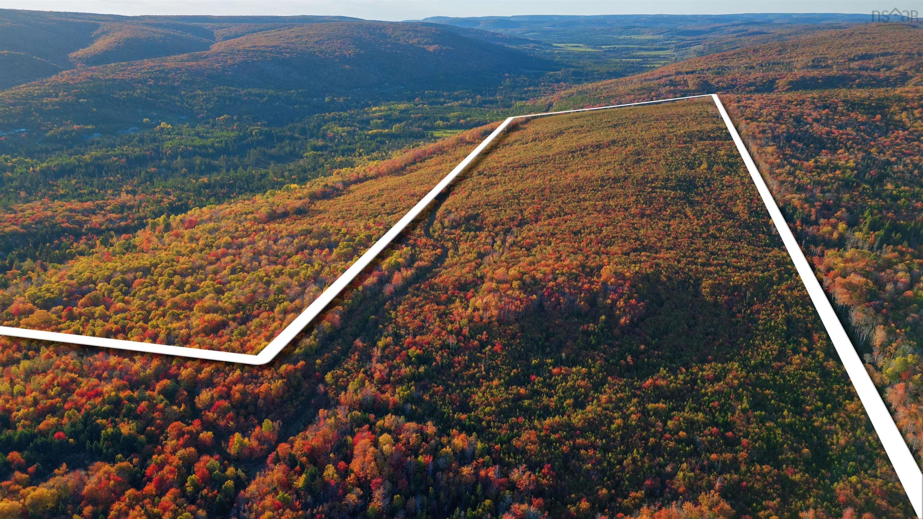 $172,500.00: Acreage Ainslie Glen Road, Ainslie Glen