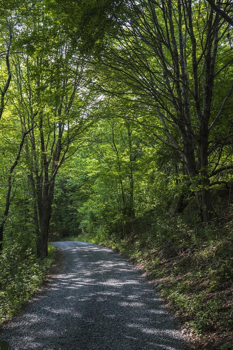 $685,000.00: 1749 Northwest Road, Blockhouse