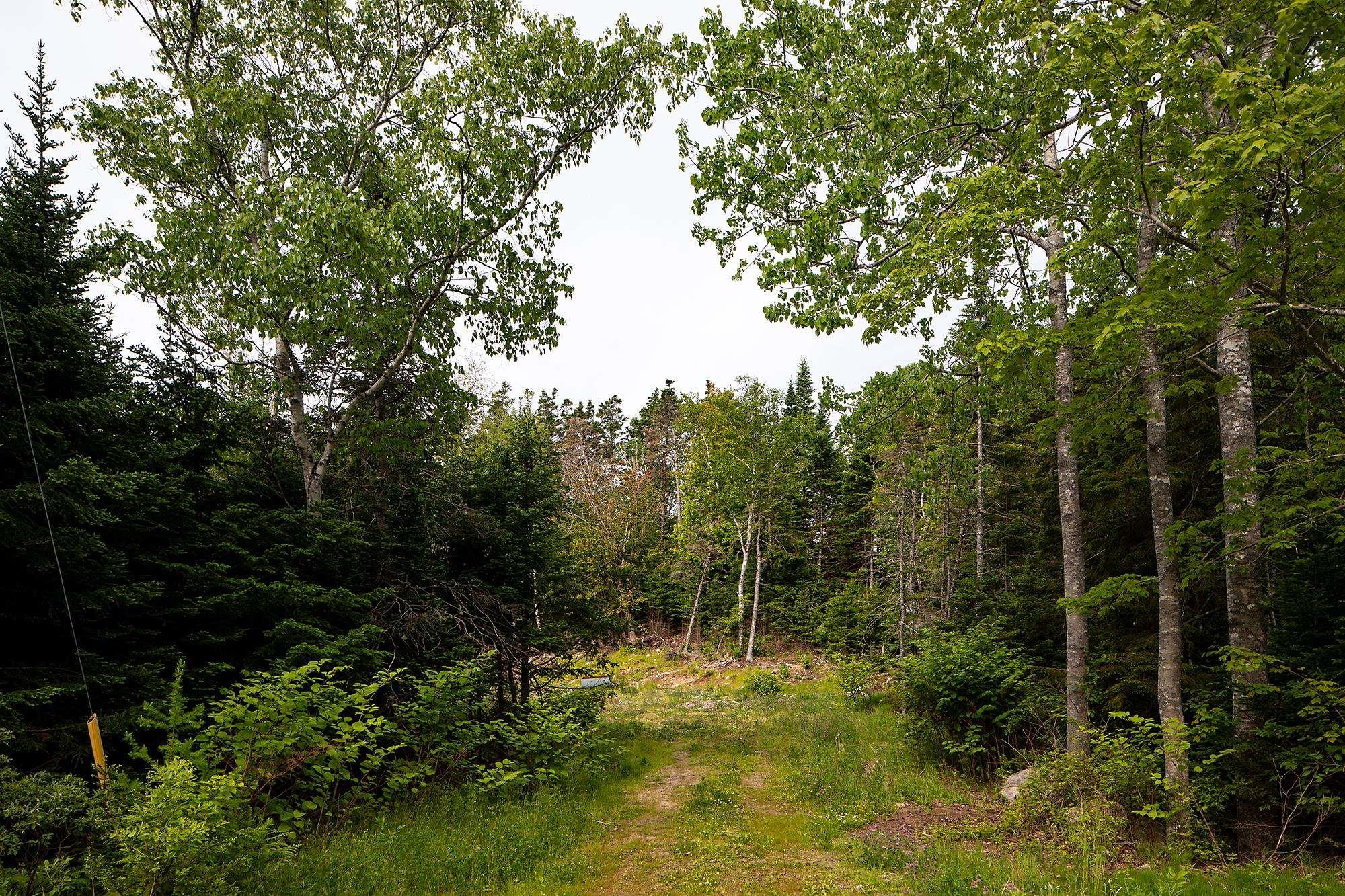 10 Spruce Lane, Boutiliers Point, NS (MLS 202514774)