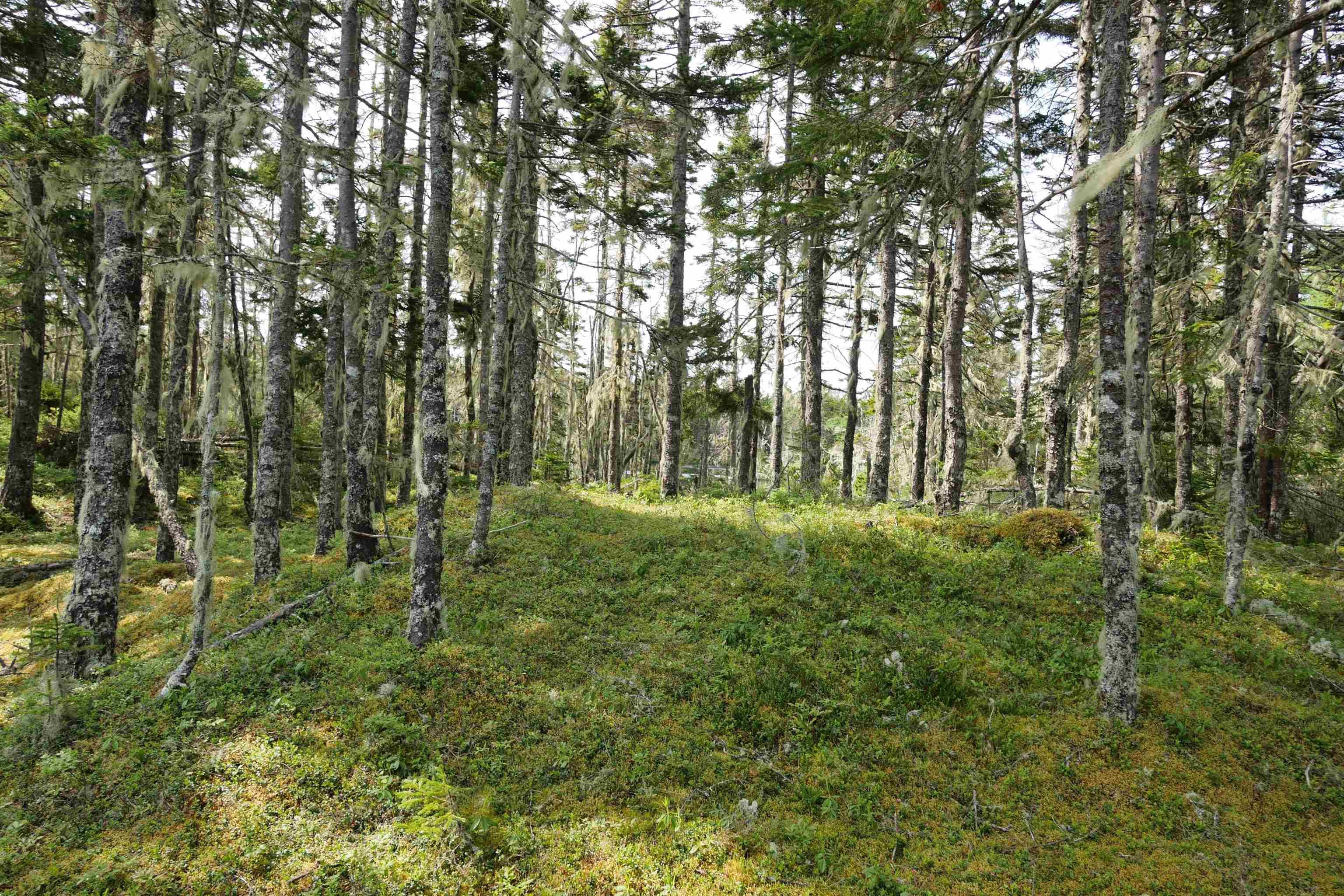 $289,000.00: Moshers Island Road, Moshers Island