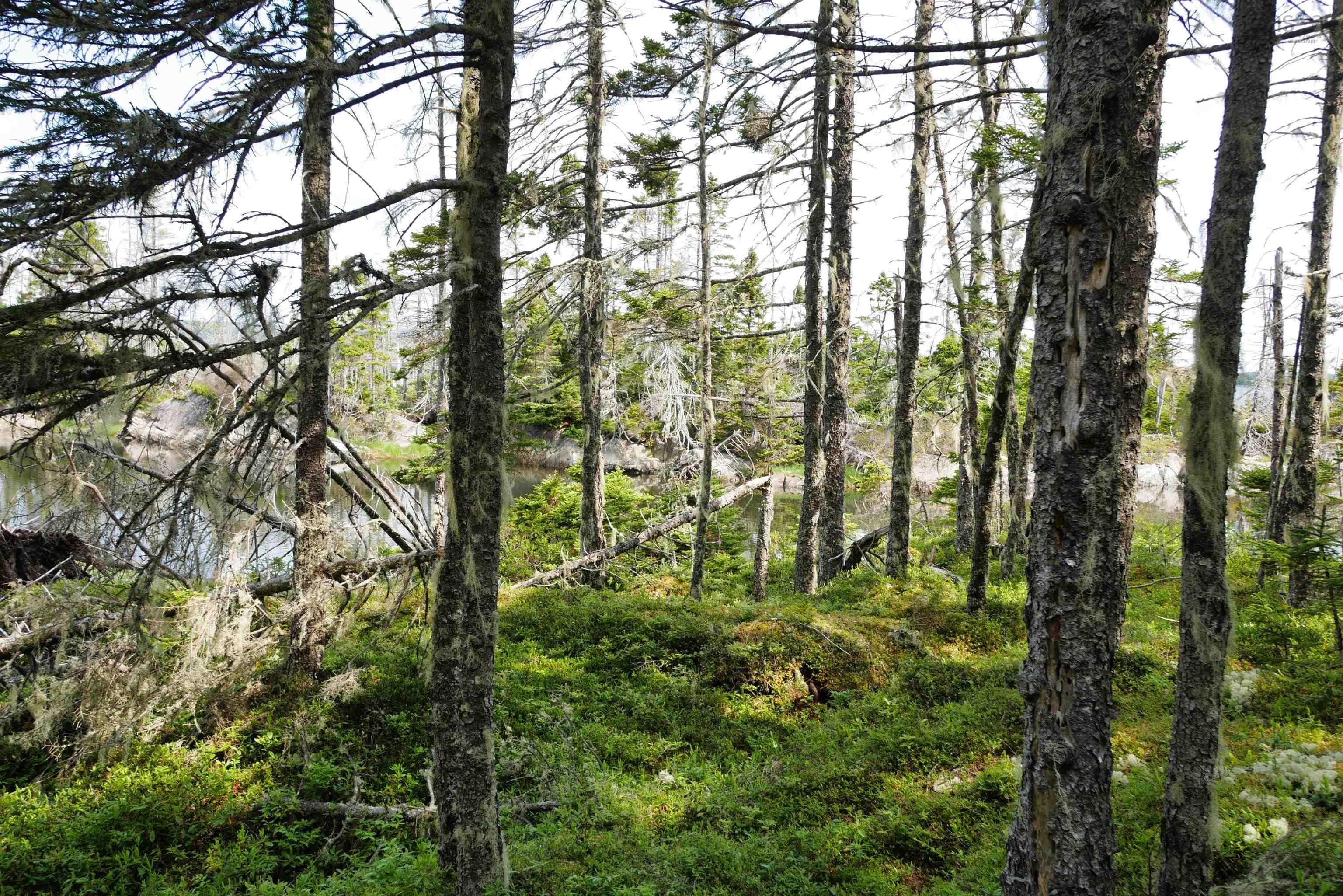 $289,000.00: Moshers Island Road, Moshers Island