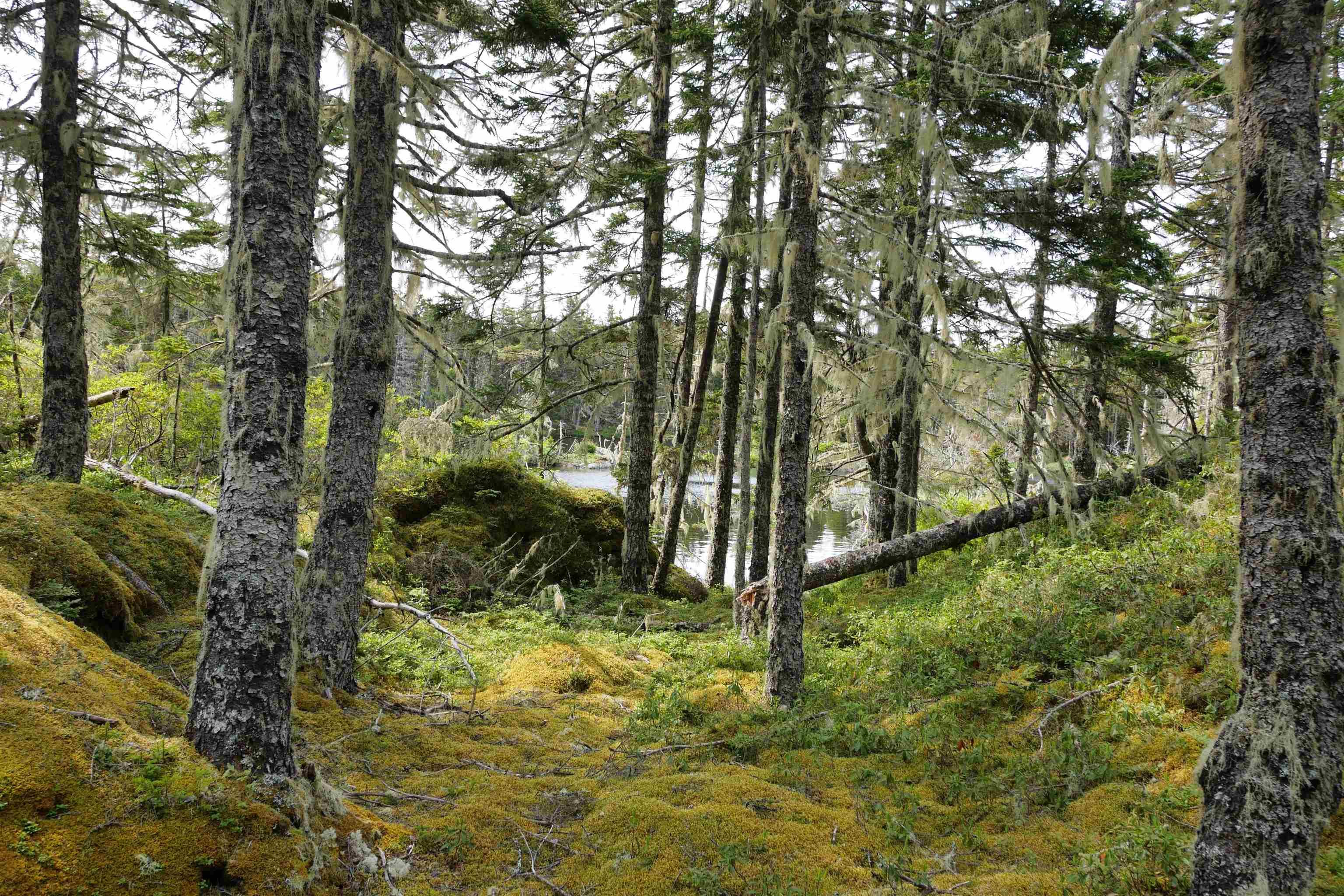 $289,000.00: Moshers Island Road, Moshers Island