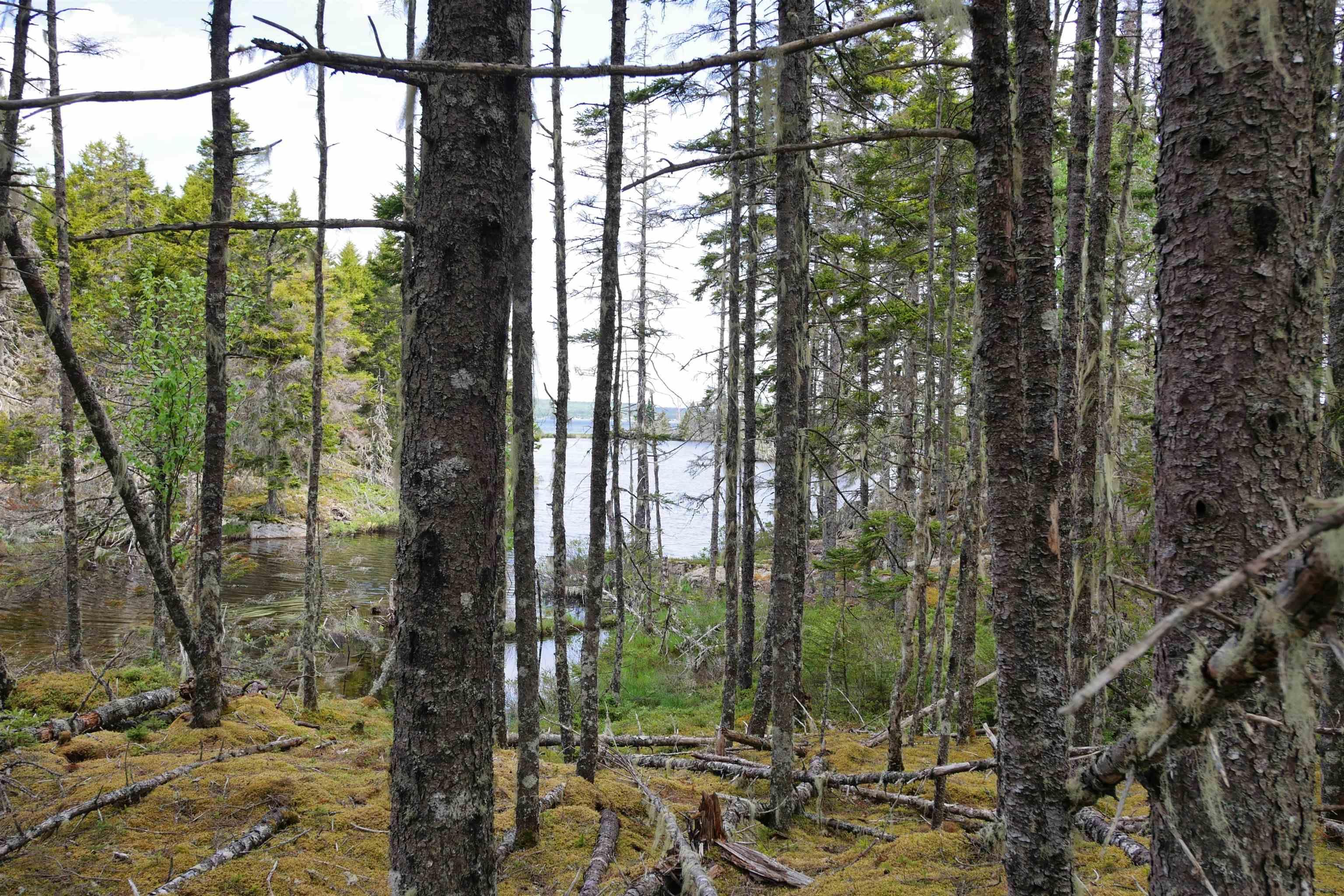 $289,000.00: Moshers Island Road, Moshers Island