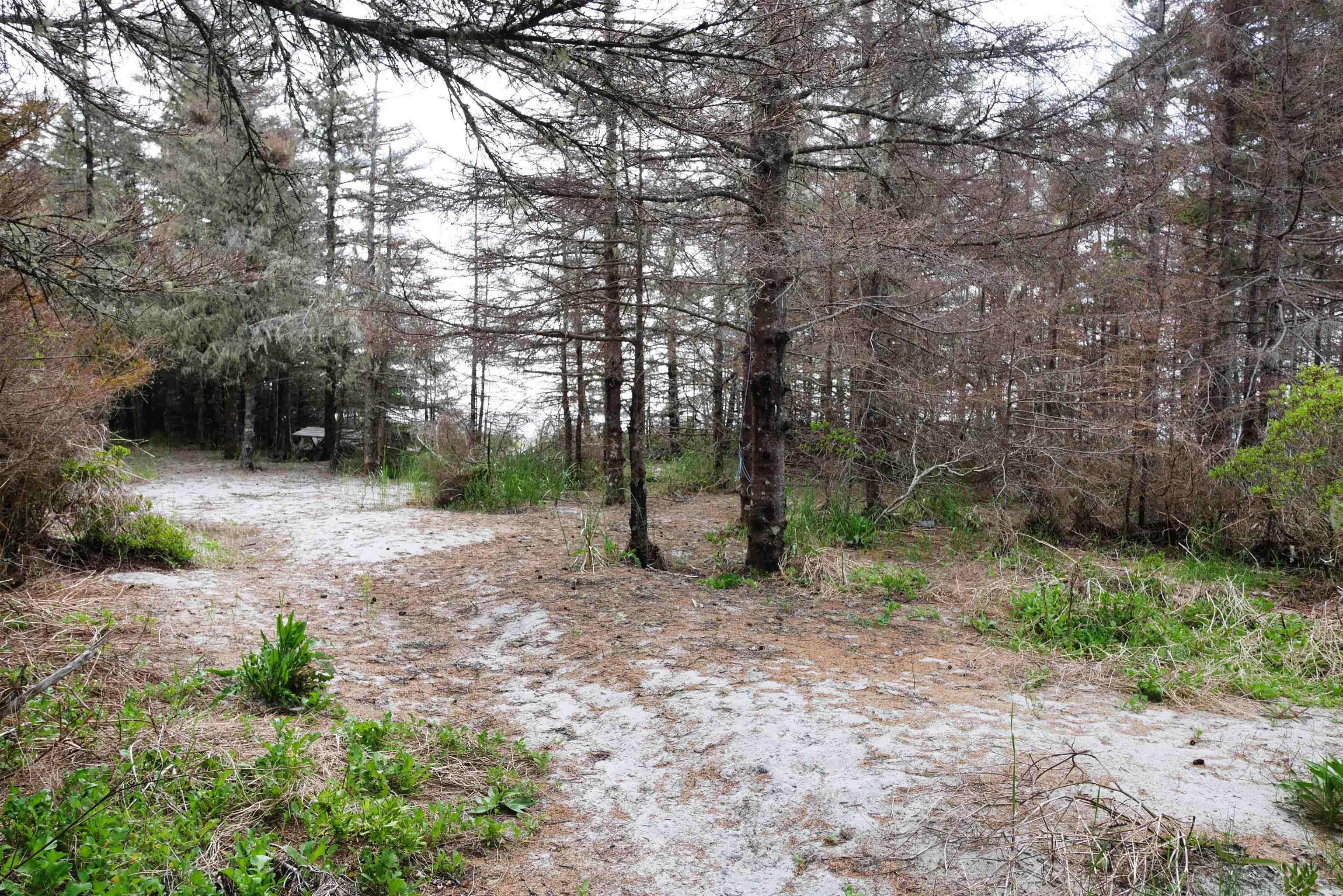 $289,000.00: Moshers Island Road, Moshers Island