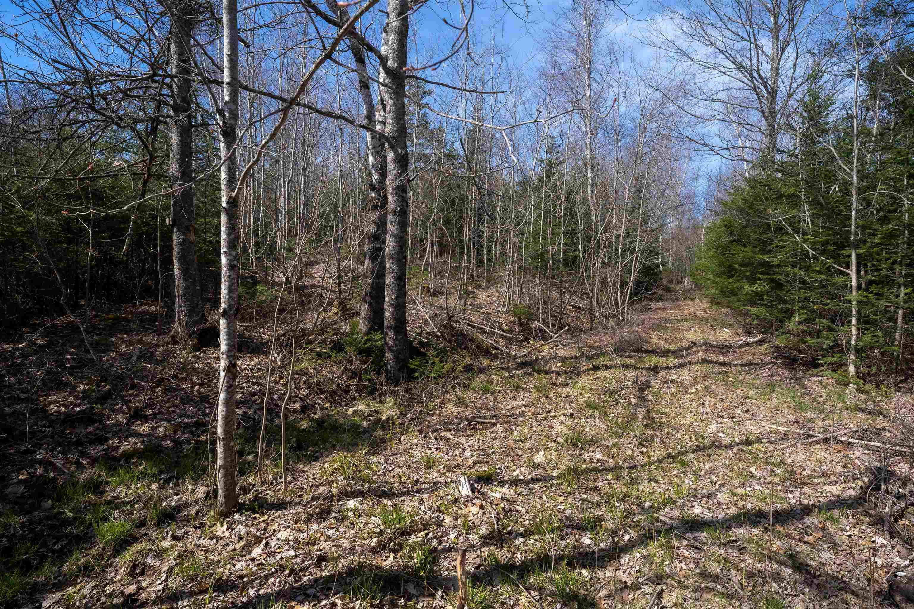 $39,900.00: Lot 89-1 Riverside Road, Riverside