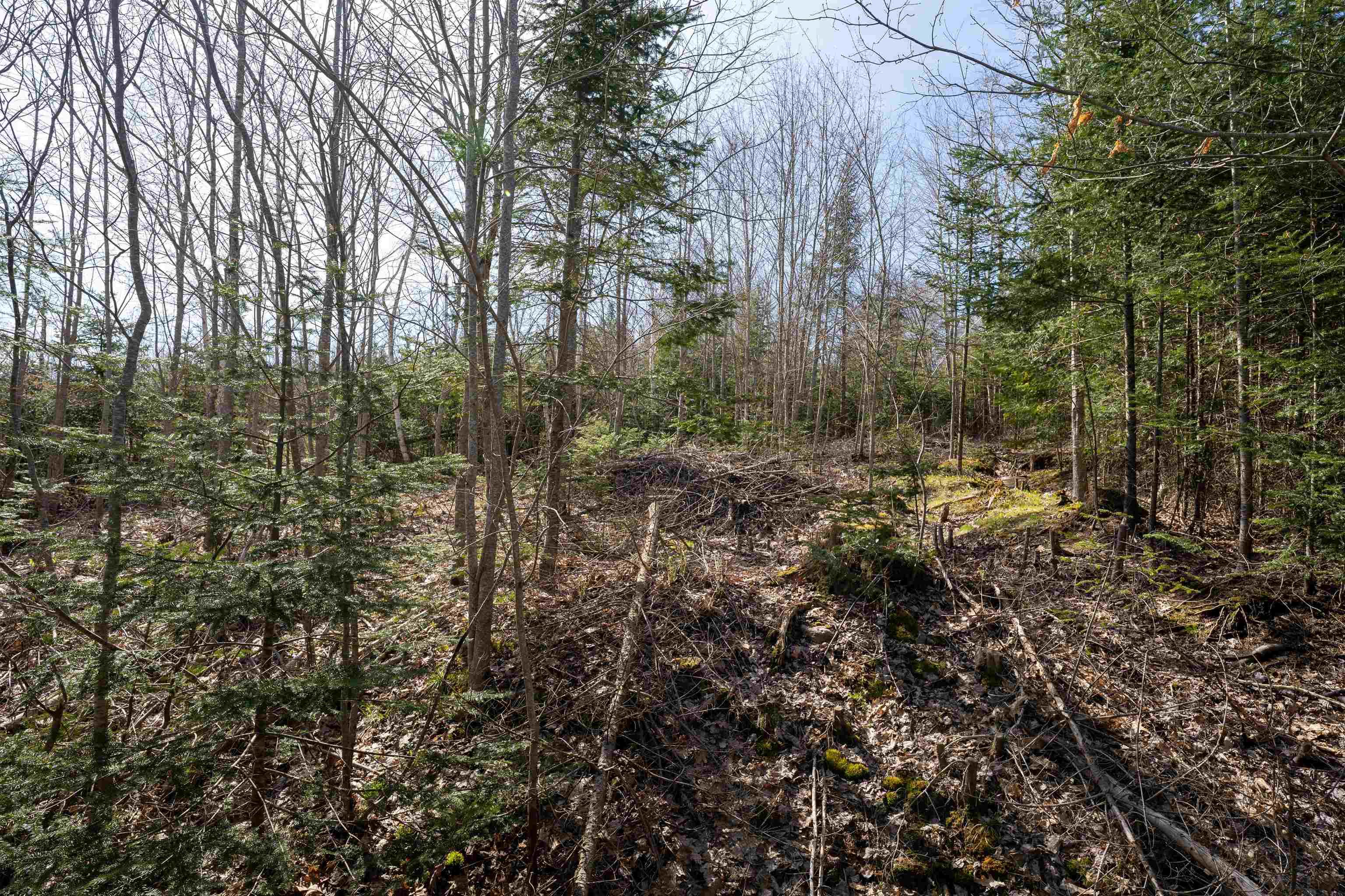 $39,900.00: Lot 89-1 Riverside Road, Riverside