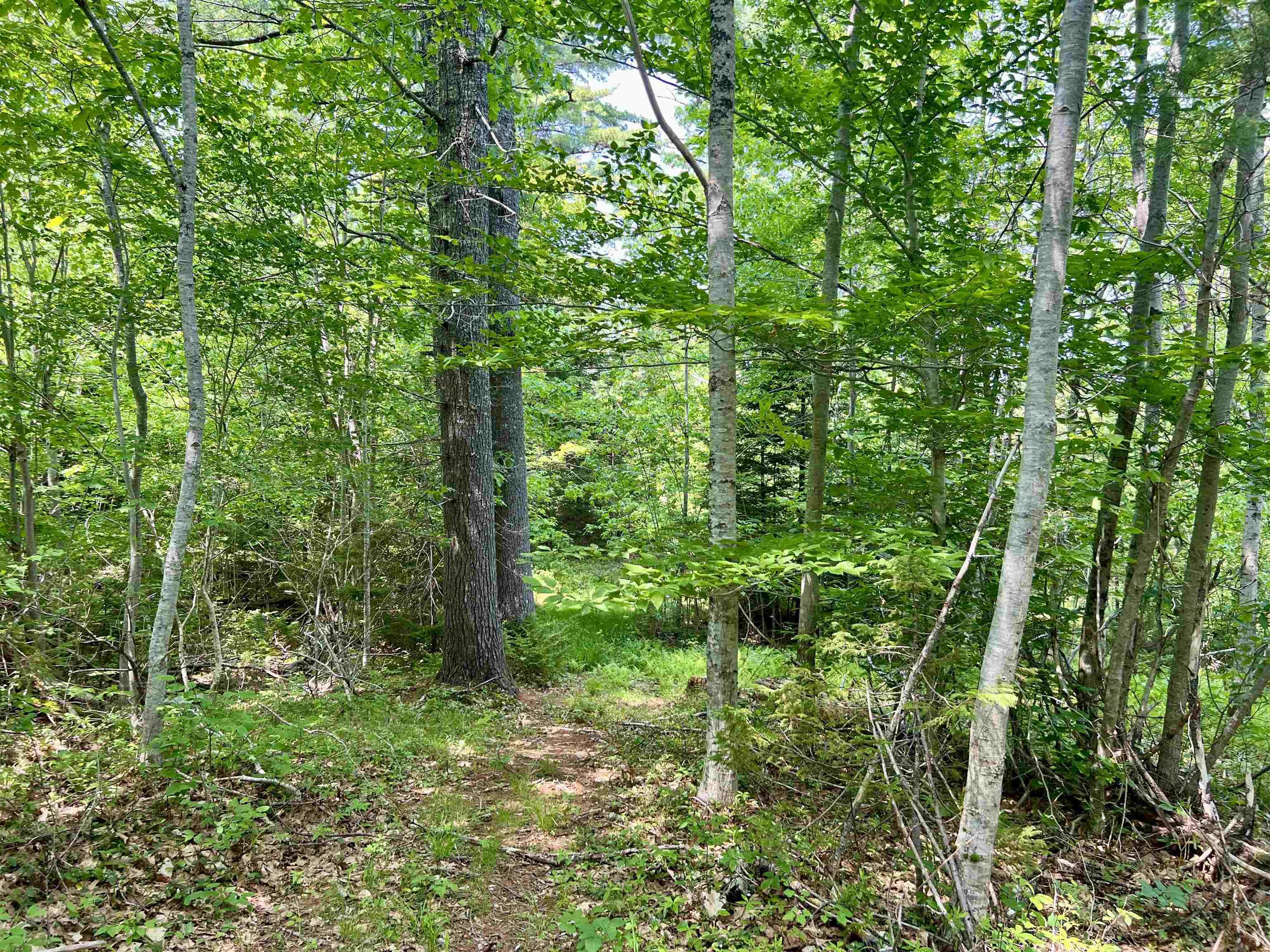 $28,000.00: Lot Morton Street, Milton