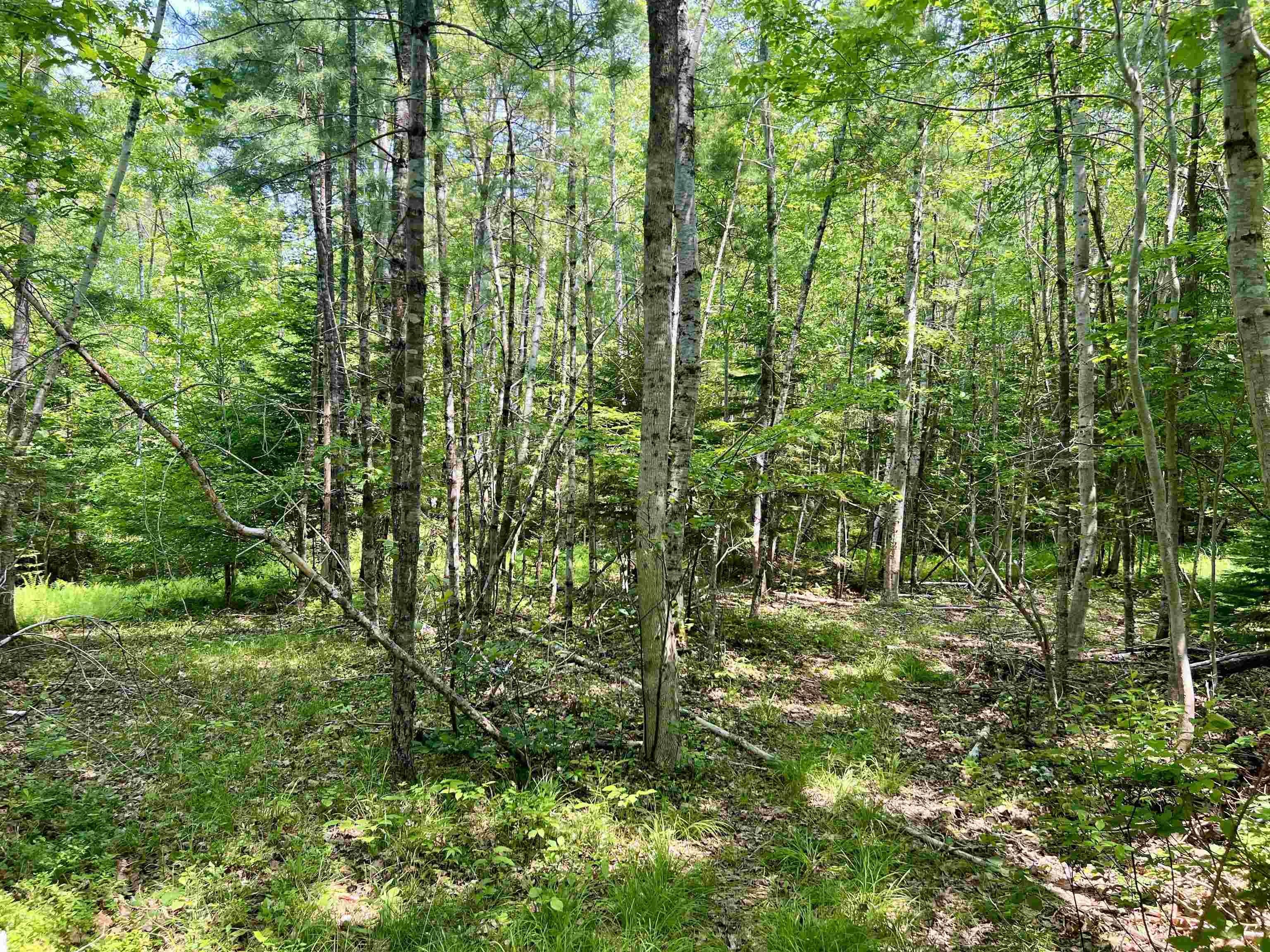 $28,000.00: Lot Morton Street, Milton