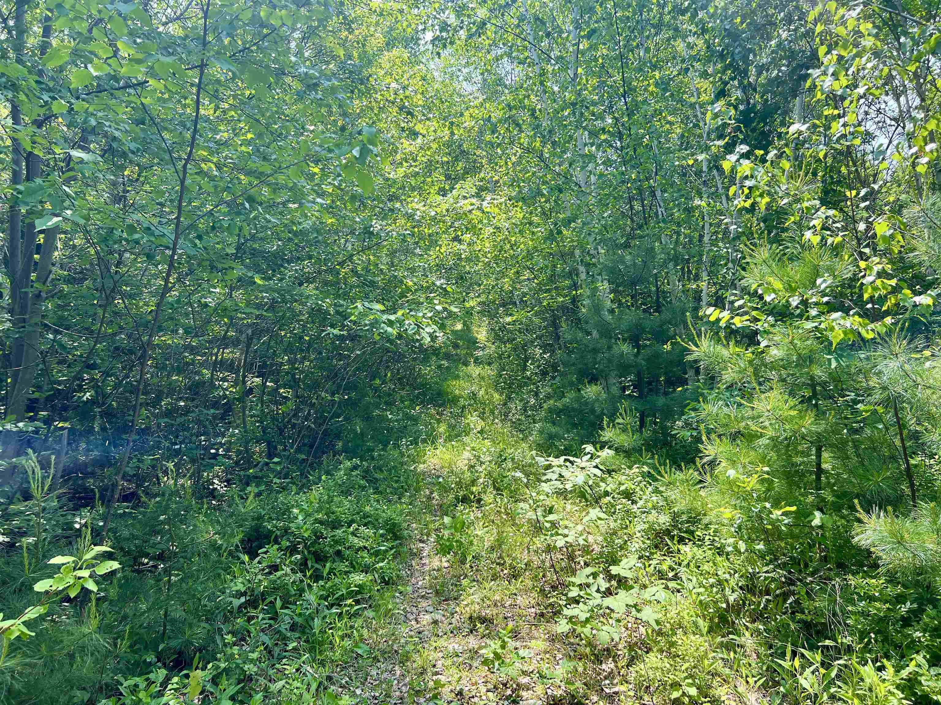 $28,000.00: Lot Morton Street, Milton