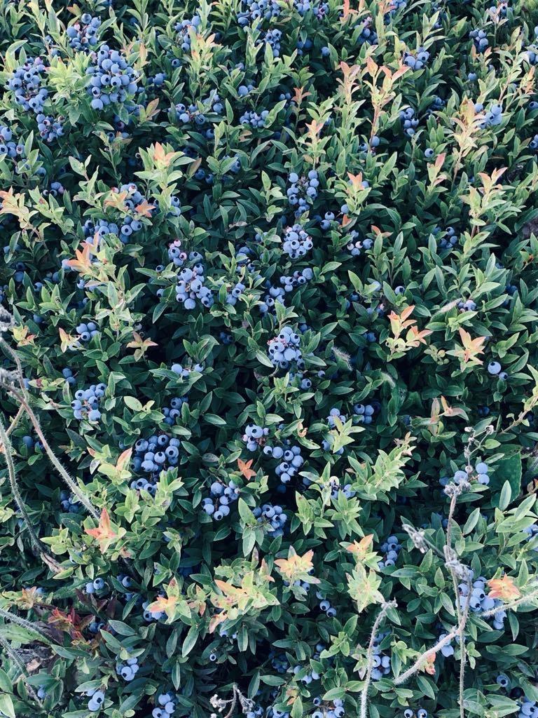 $549,000.00: 252 Glengarry Road, Hopewell