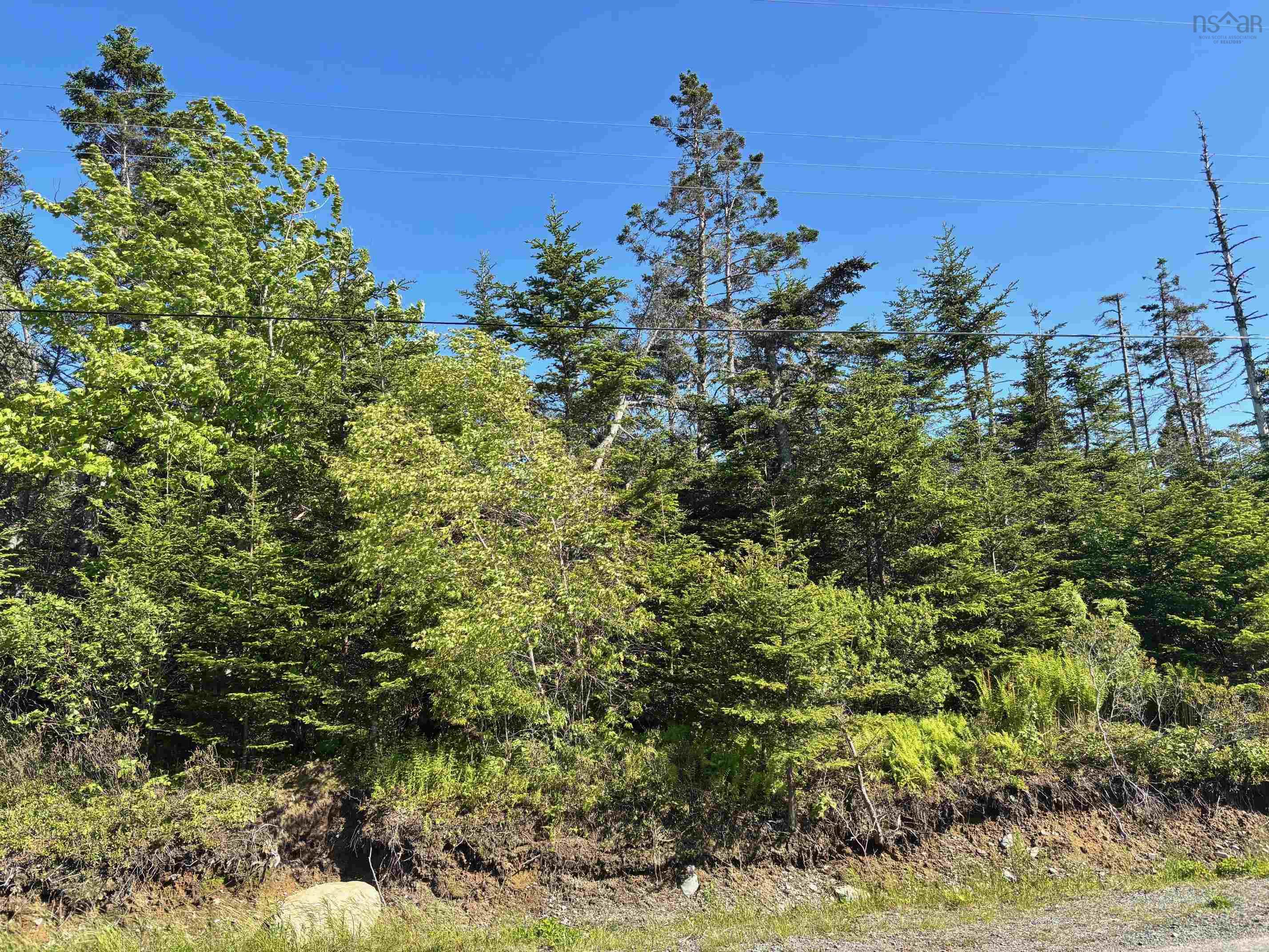 $29,500.00: Lot Mushaboom Road, Mushaboom