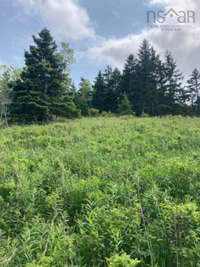 $92,000.00: 1 South Side River Bourgeois Road, River Bourgeois