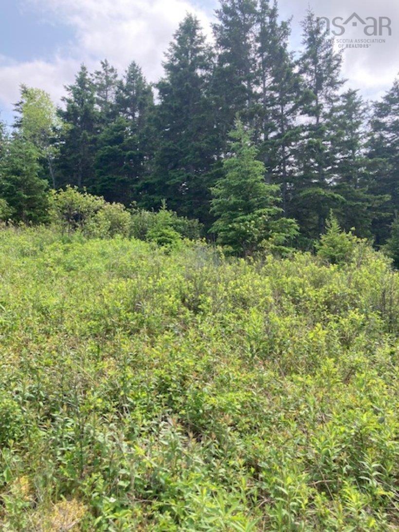 $92,000.00: 1 South Side River Bourgeois Road, River Bourgeois