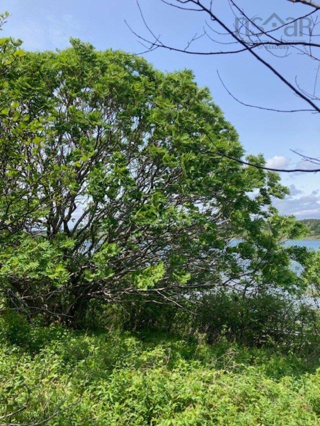 $92,000.00: 1 South Side River Bourgeois Road, River Bourgeois