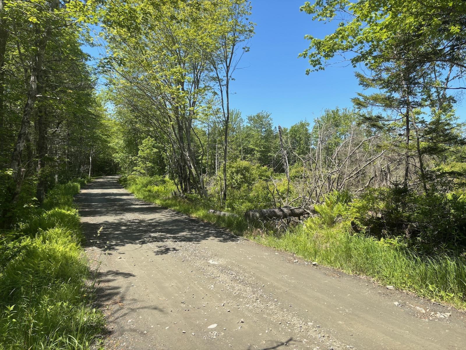 $49,900.00: Lot D Trefry Lake Road, Arcadia