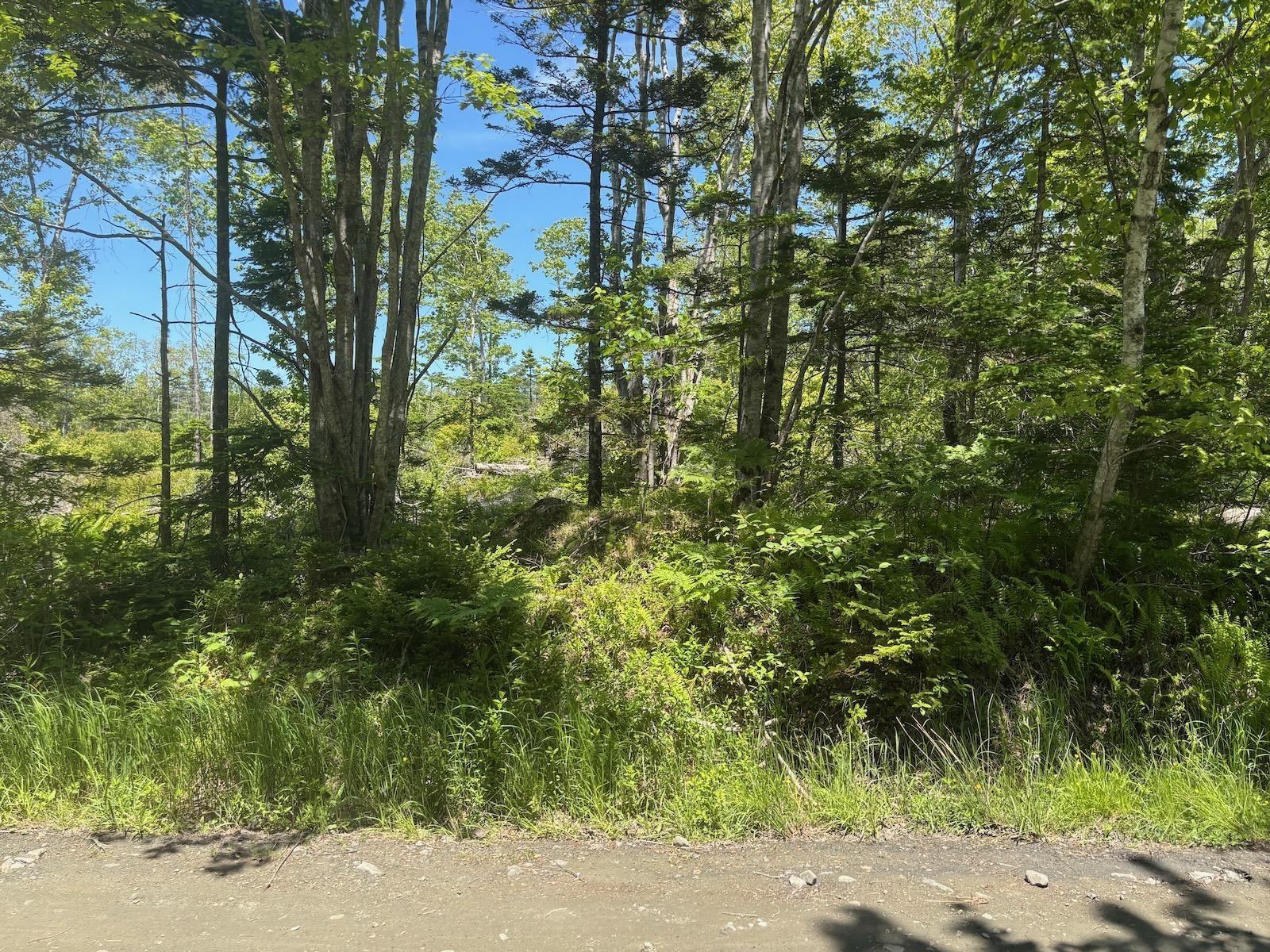 $49,900.00: Lot D Trefry Lake Road, Arcadia