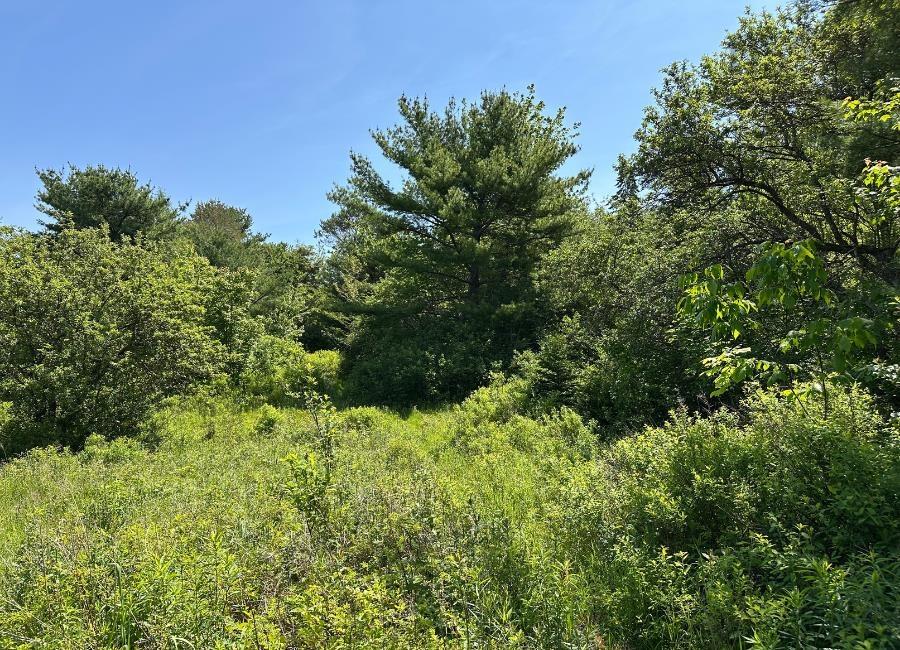 $109,000.00: Lot 3 Target Hill Road, Chester