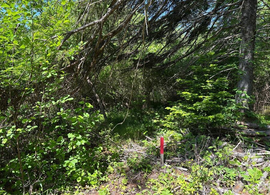 $109,000.00: Lot 3 Target Hill Road, Chester