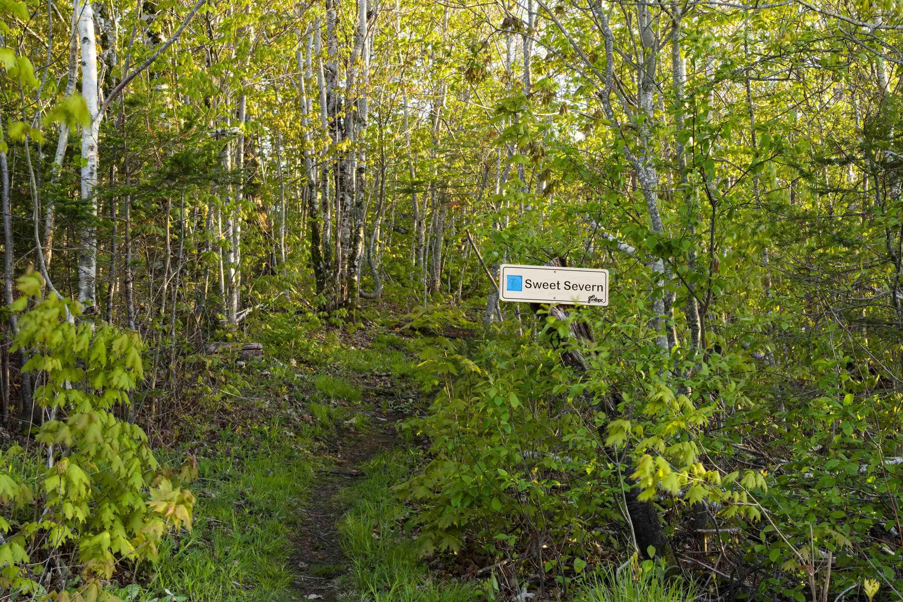 $2,590,000.00: 310 Fitzpatrick Mountain Road, Pictou