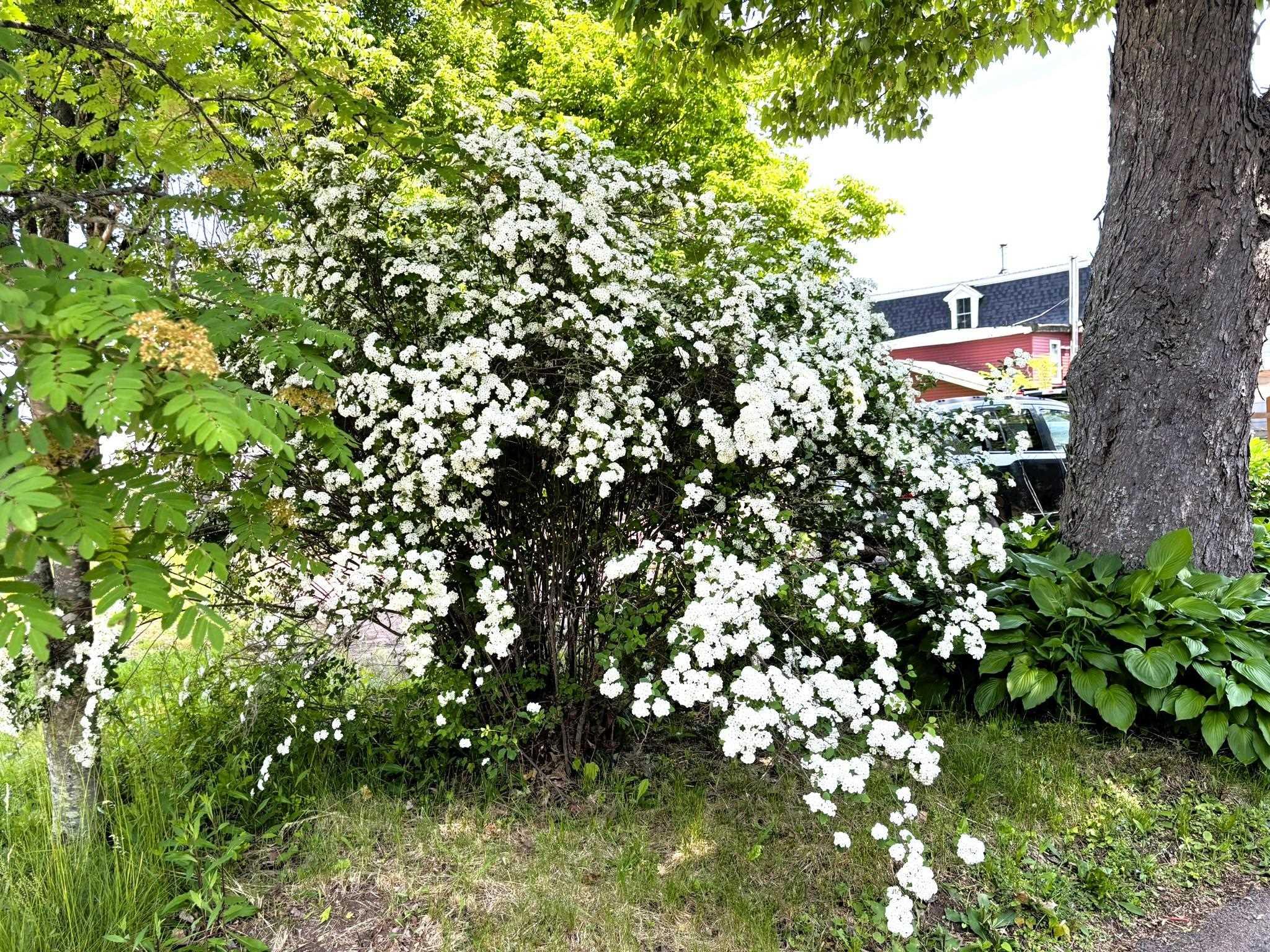 $339,900.00: 44 Church Street, Parrsboro