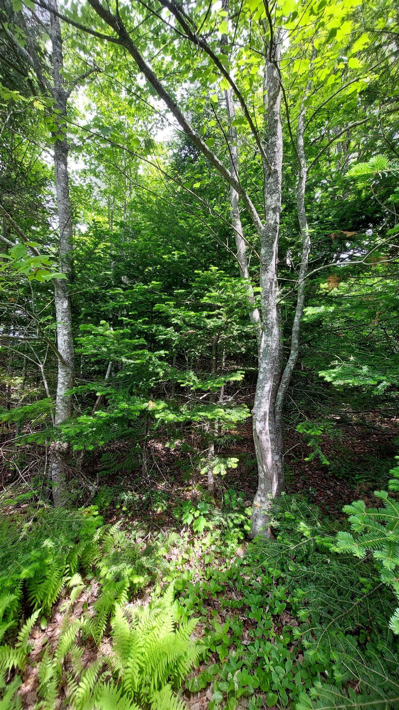 $29,500.00: Lot 22 Kopylov Lane, Kempt Road