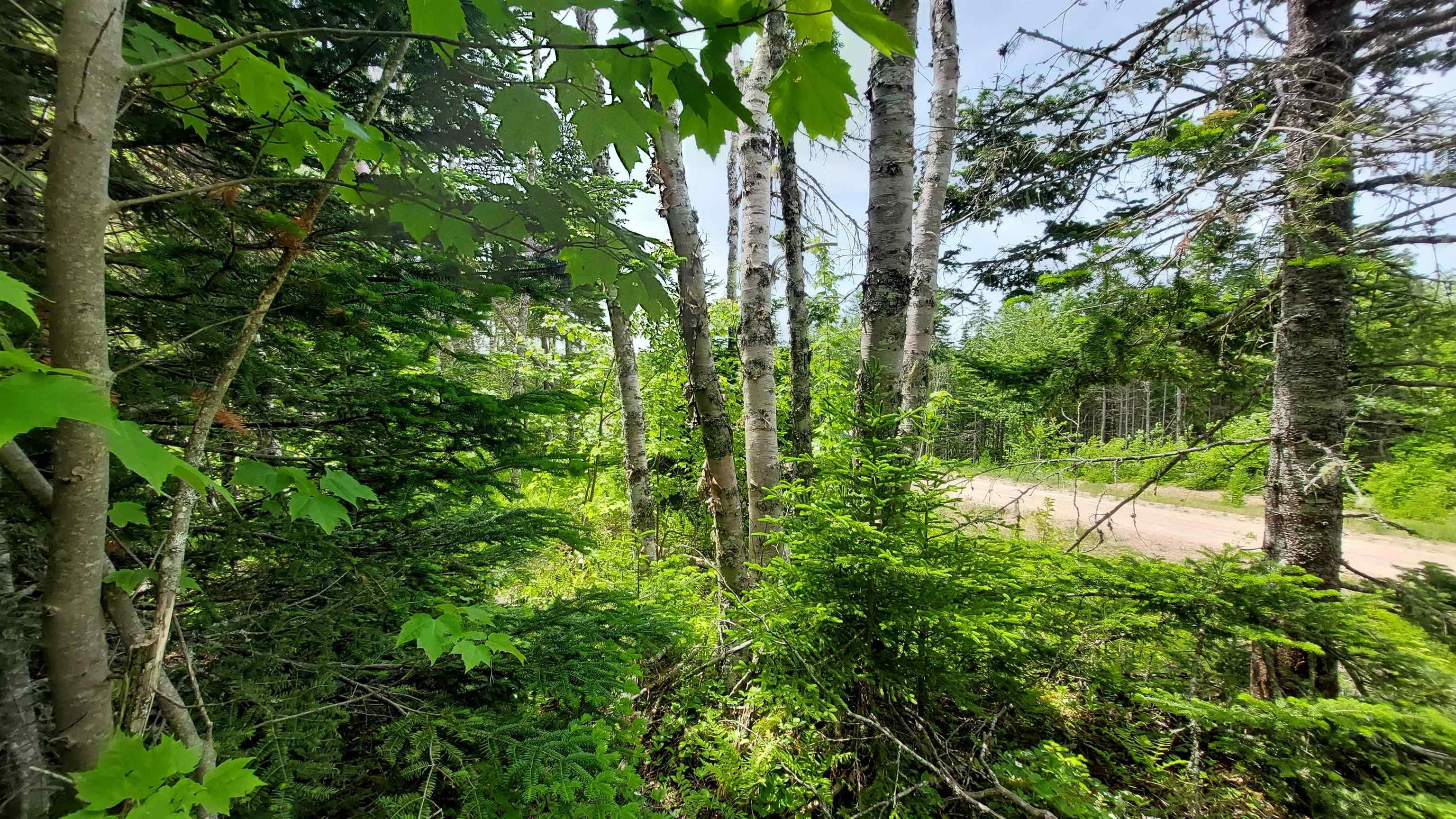 $29,500.00: Lot 22 Kopylov Lane, Kempt Road