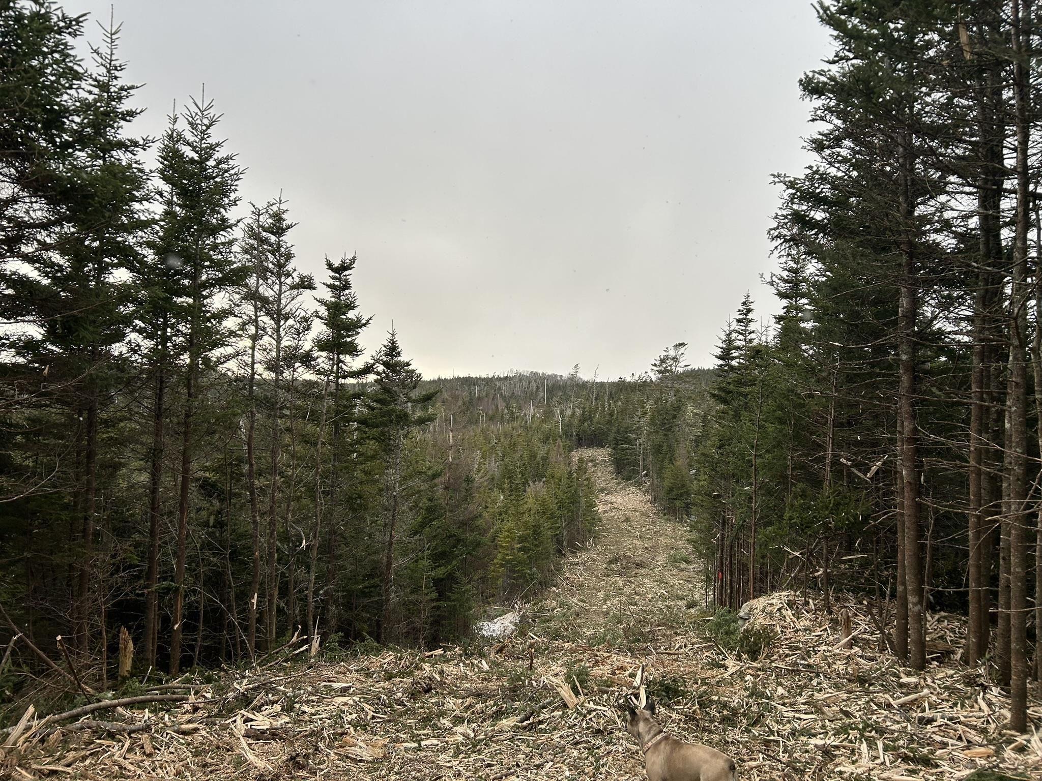 $130,000.00: 4-A Lot 4-A West Petpeswick Road, Musquodoboit Harbour