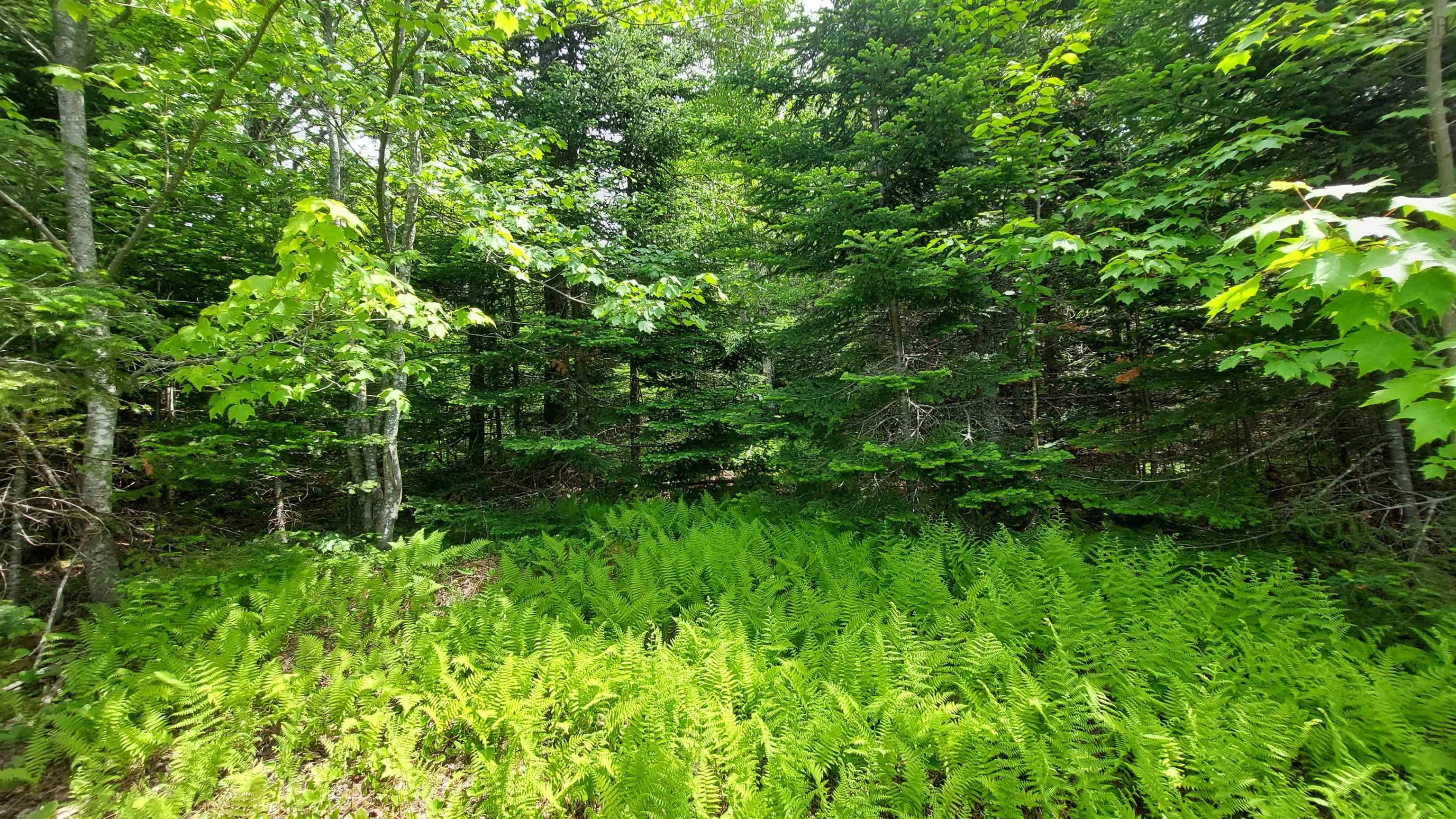 $39,000.00: Lot 23 Kopylov Lane, Kempt Road