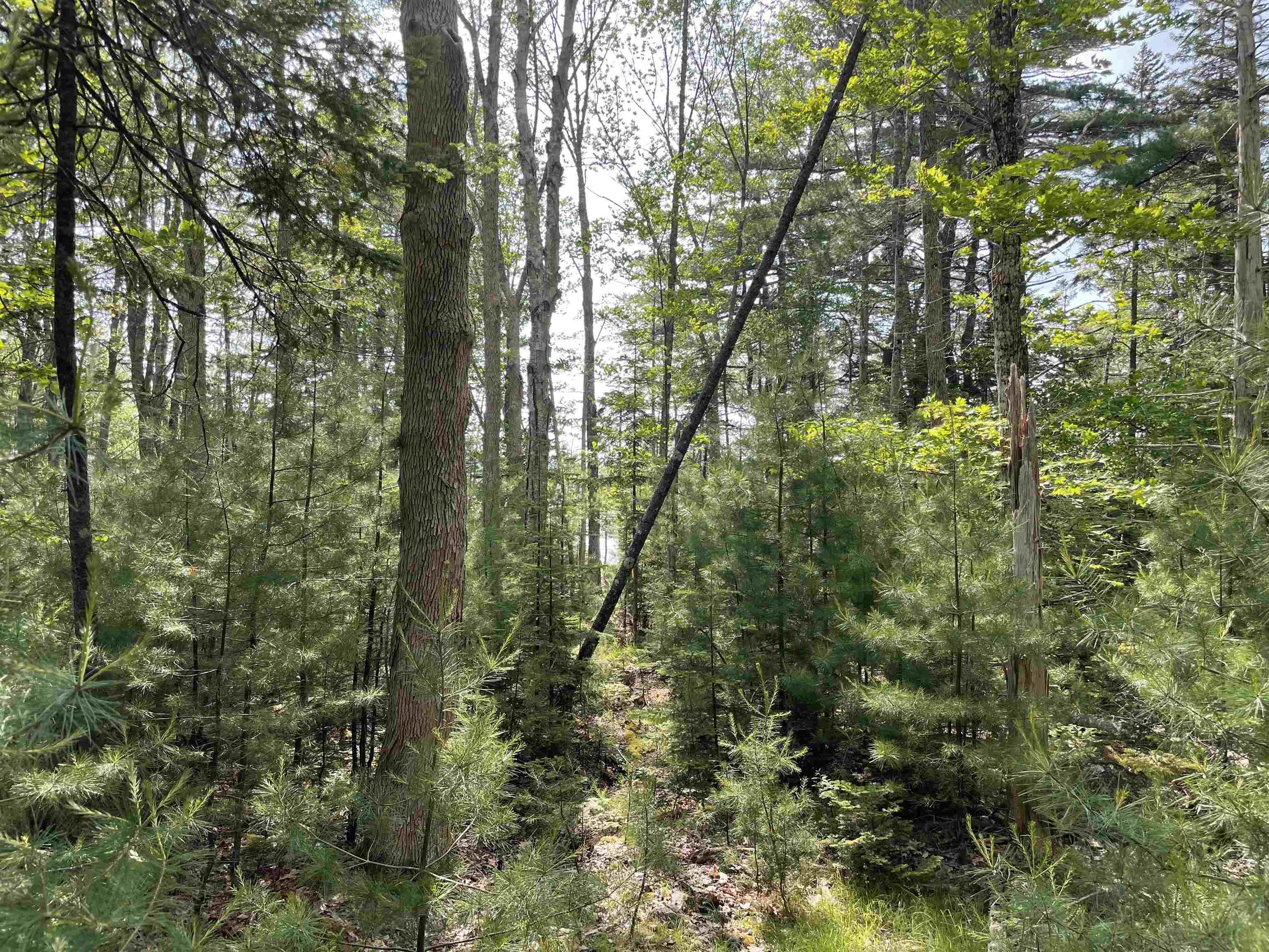 $135,000.00: Lot 108 East Clifford Road, East Clifford