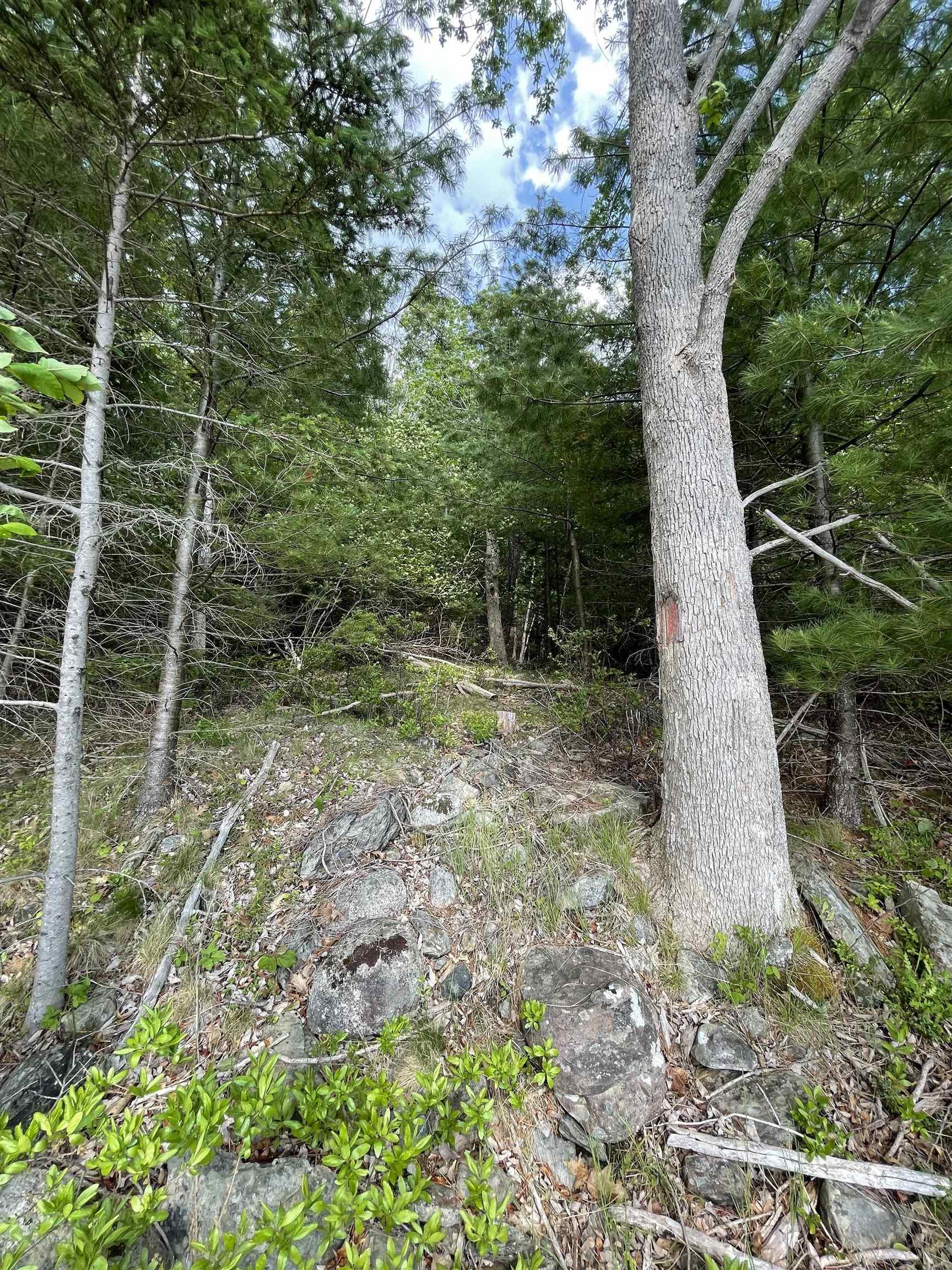 $135,000.00: Lot 108 East Clifford Road, East Clifford