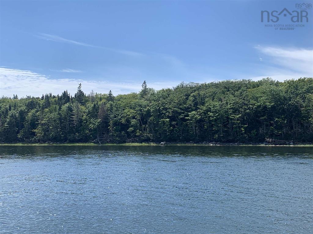 $19,995.00: Mikes Island, Surette