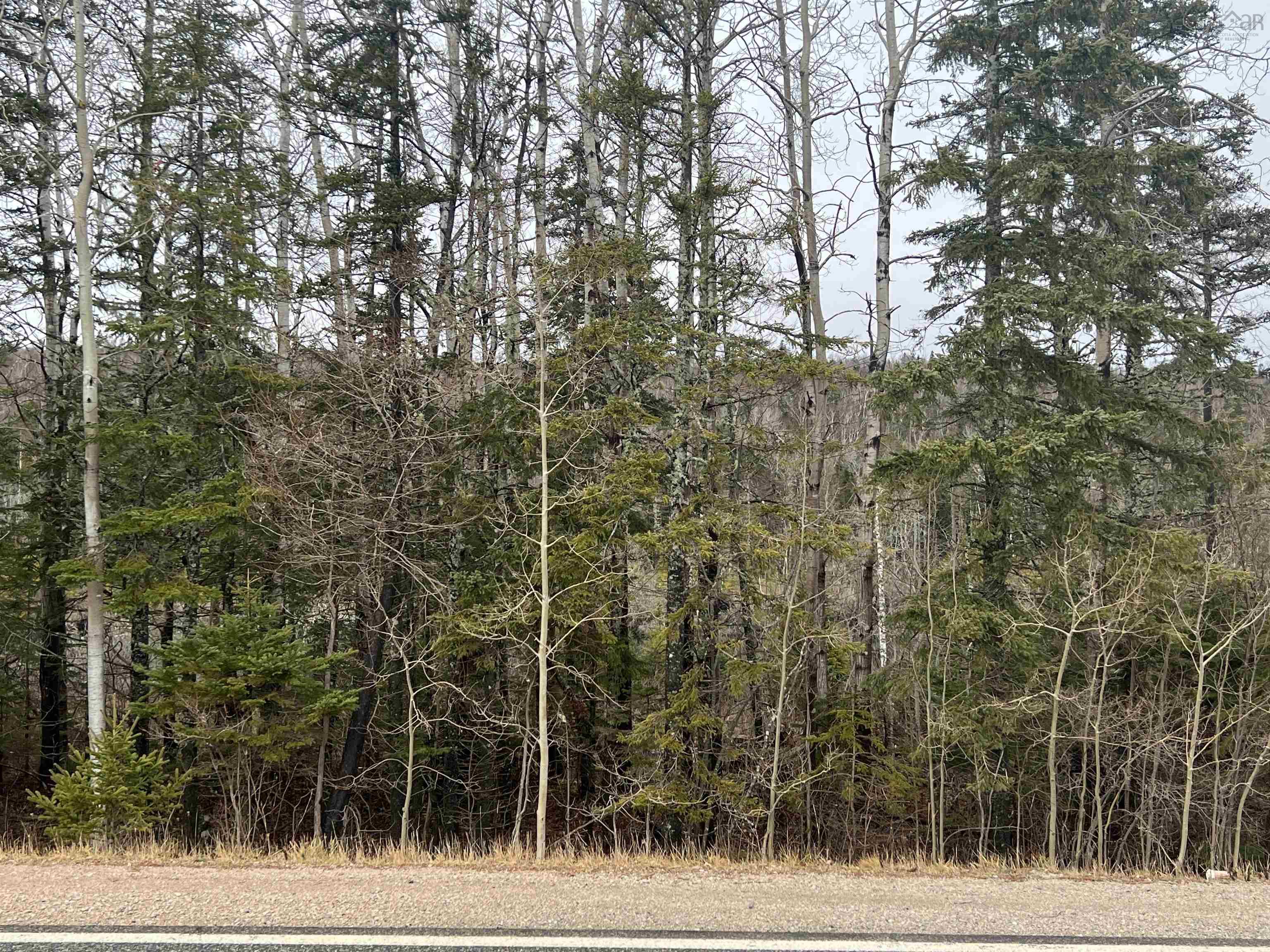 $49,500.00: Leitches creek Road, North Sydney