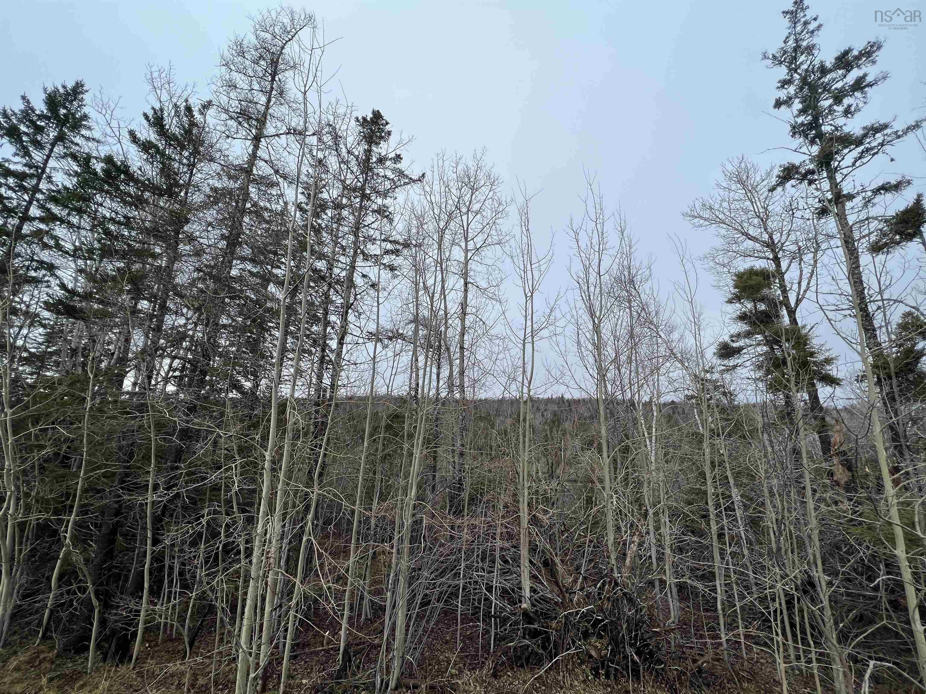 $49,500.00: Leitches creek Road, North Sydney