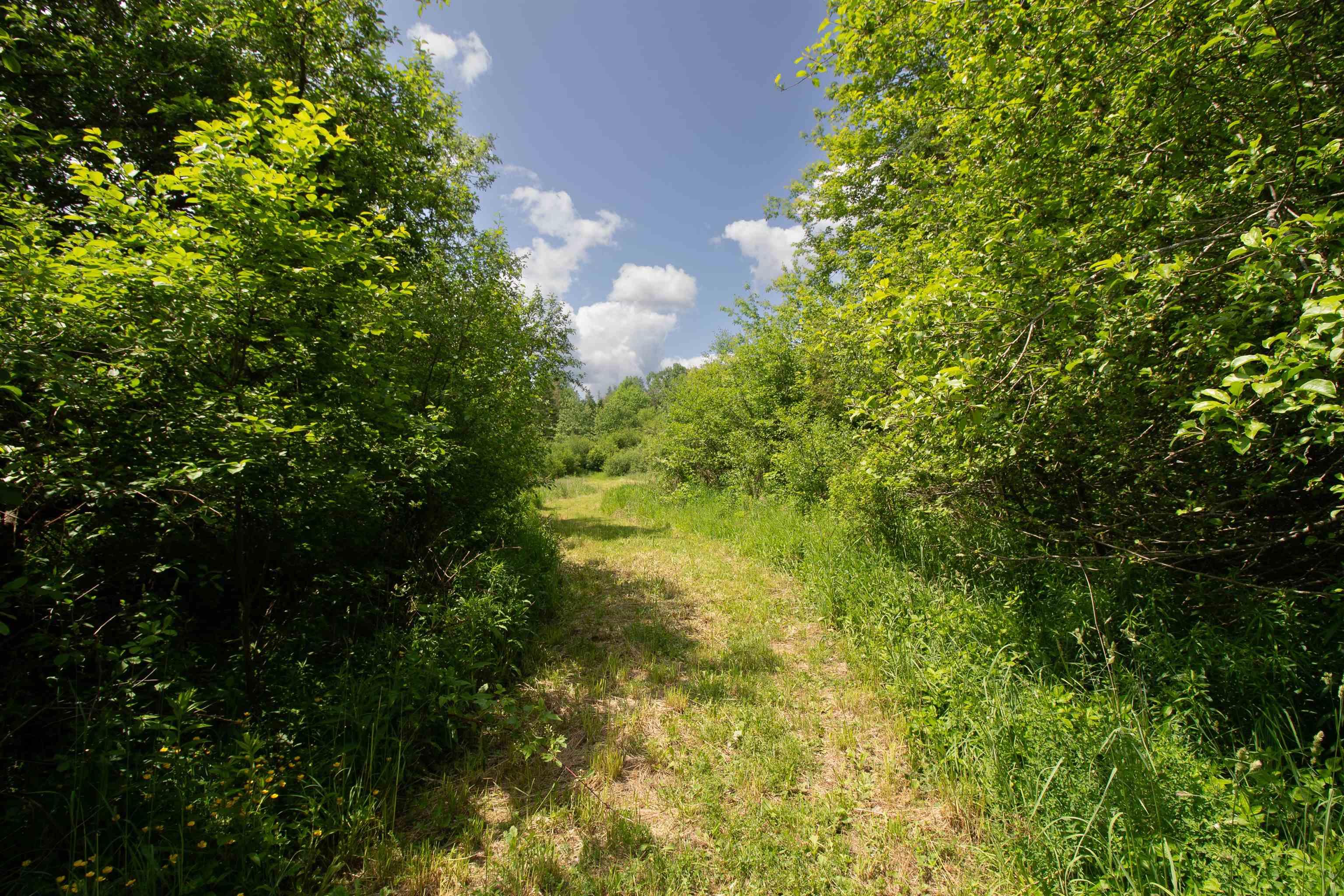 $99,000.00: Lot A1 William Russell Road, Hilden