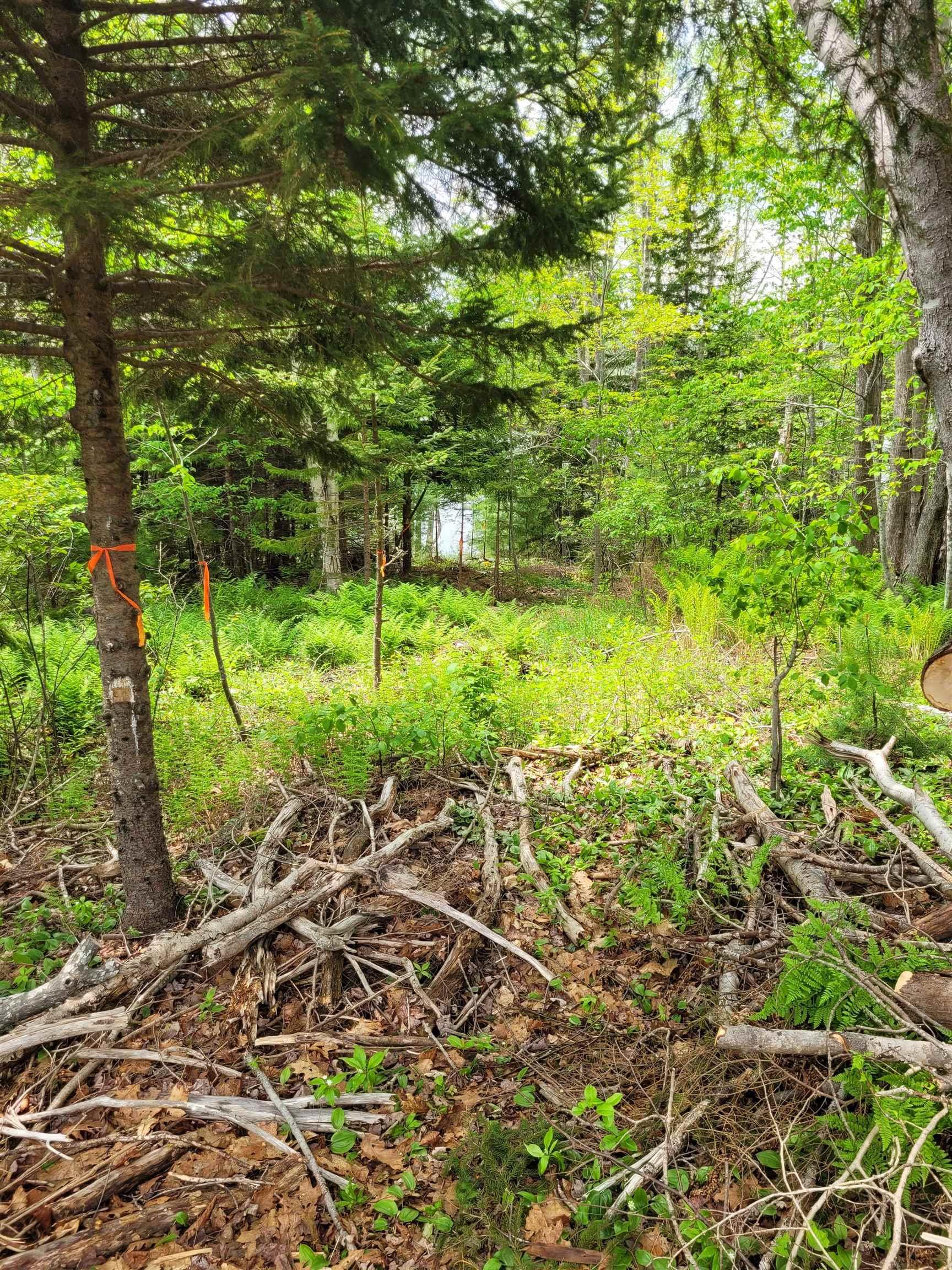 $169,000.00: Lots Goat Lake Road, East Chester