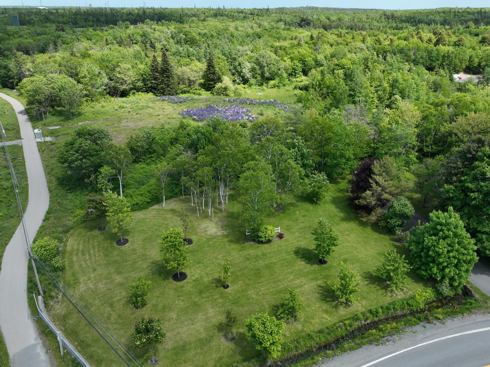 $399,900.00: 3 Yolanda Drive, Sydney