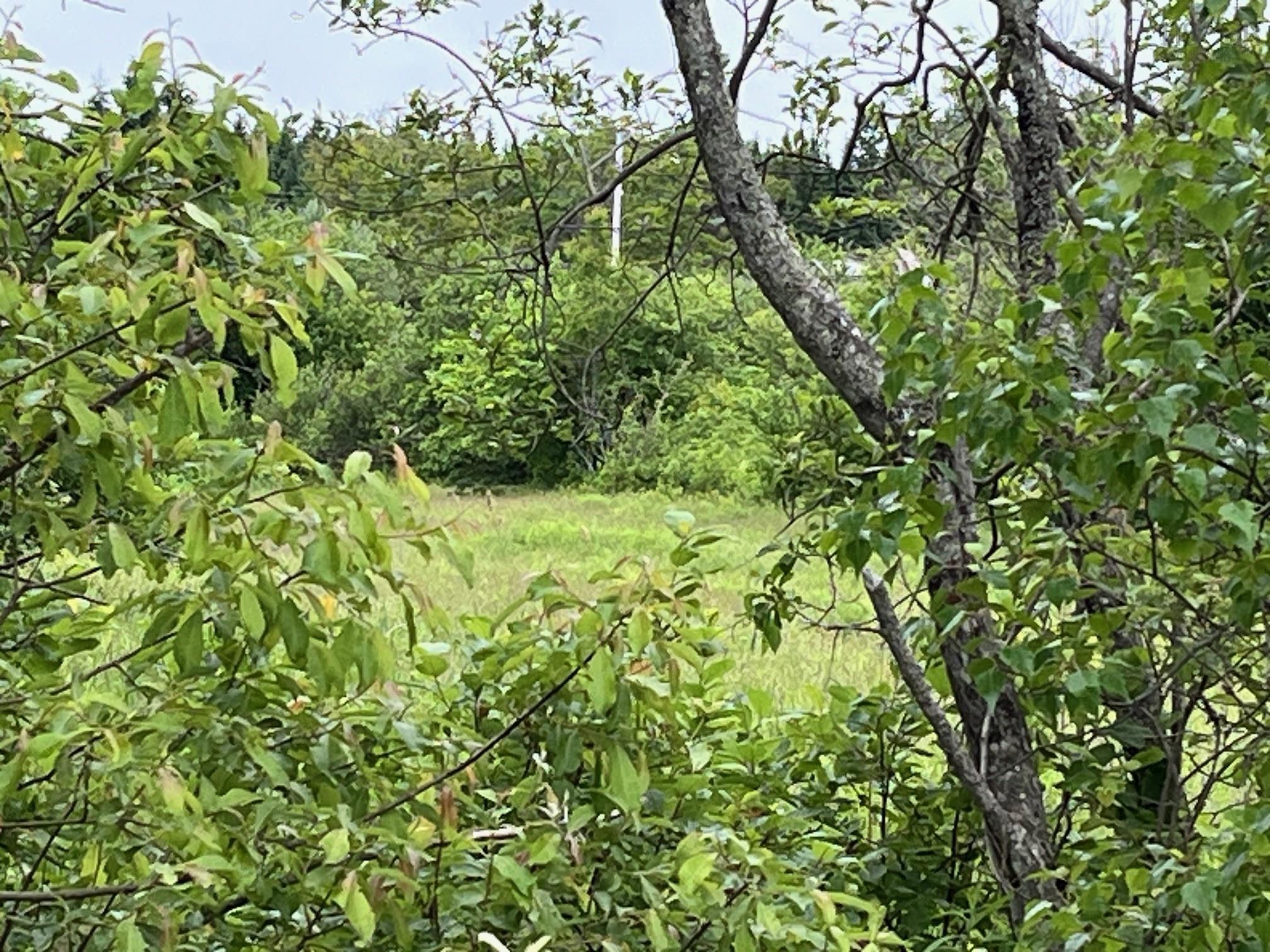 $68,500.00: Upper Road, Londonderry