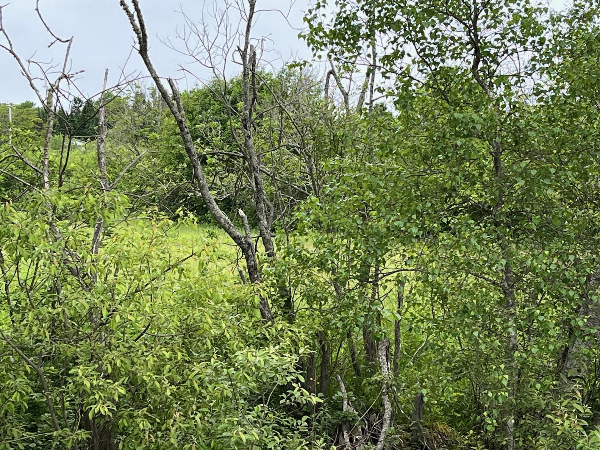 $68,500.00: Upper Road, Londonderry