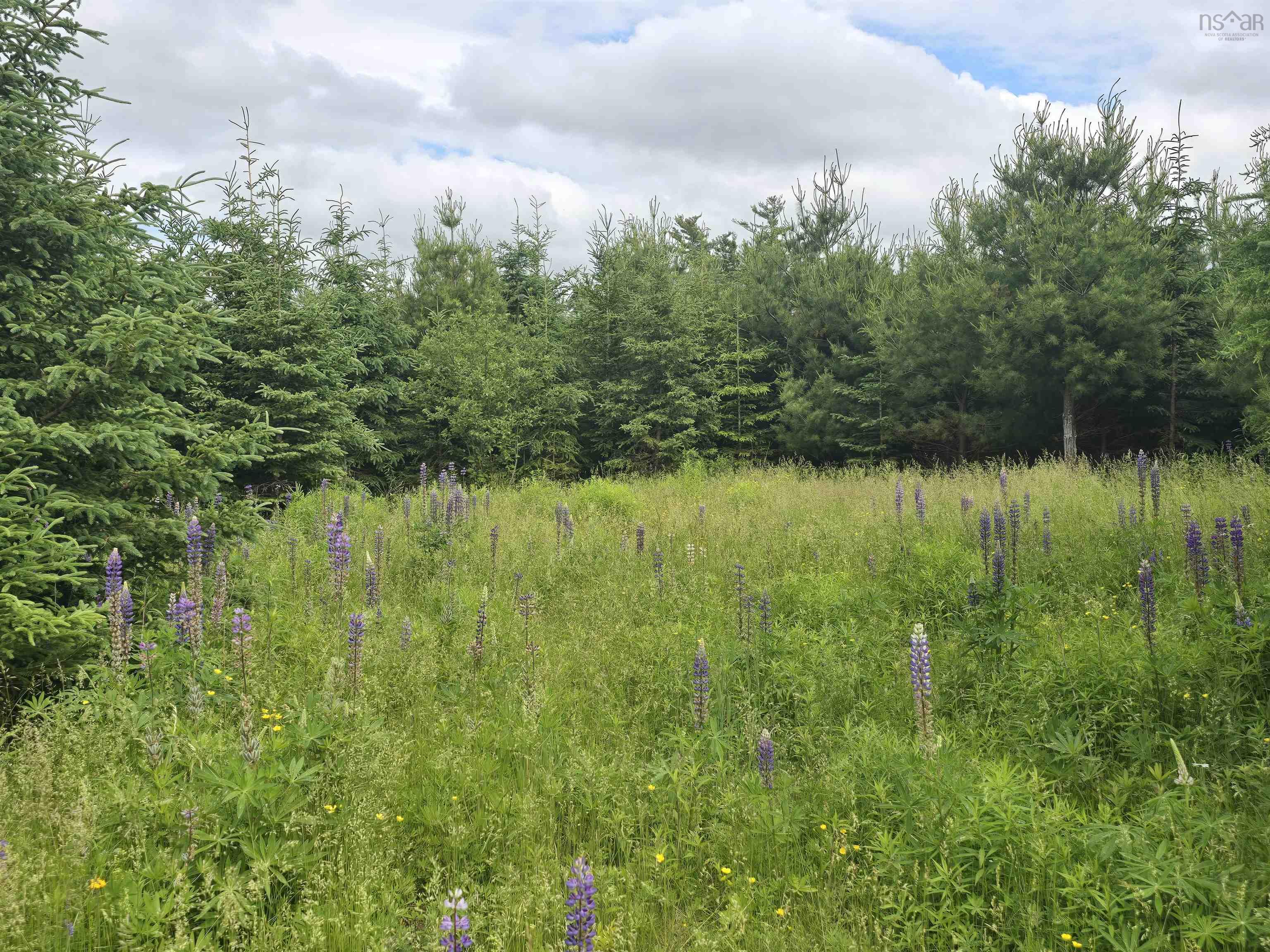 Lot 6 41 Brule Shore Road, Barrachois, NS (MLS 202515320)