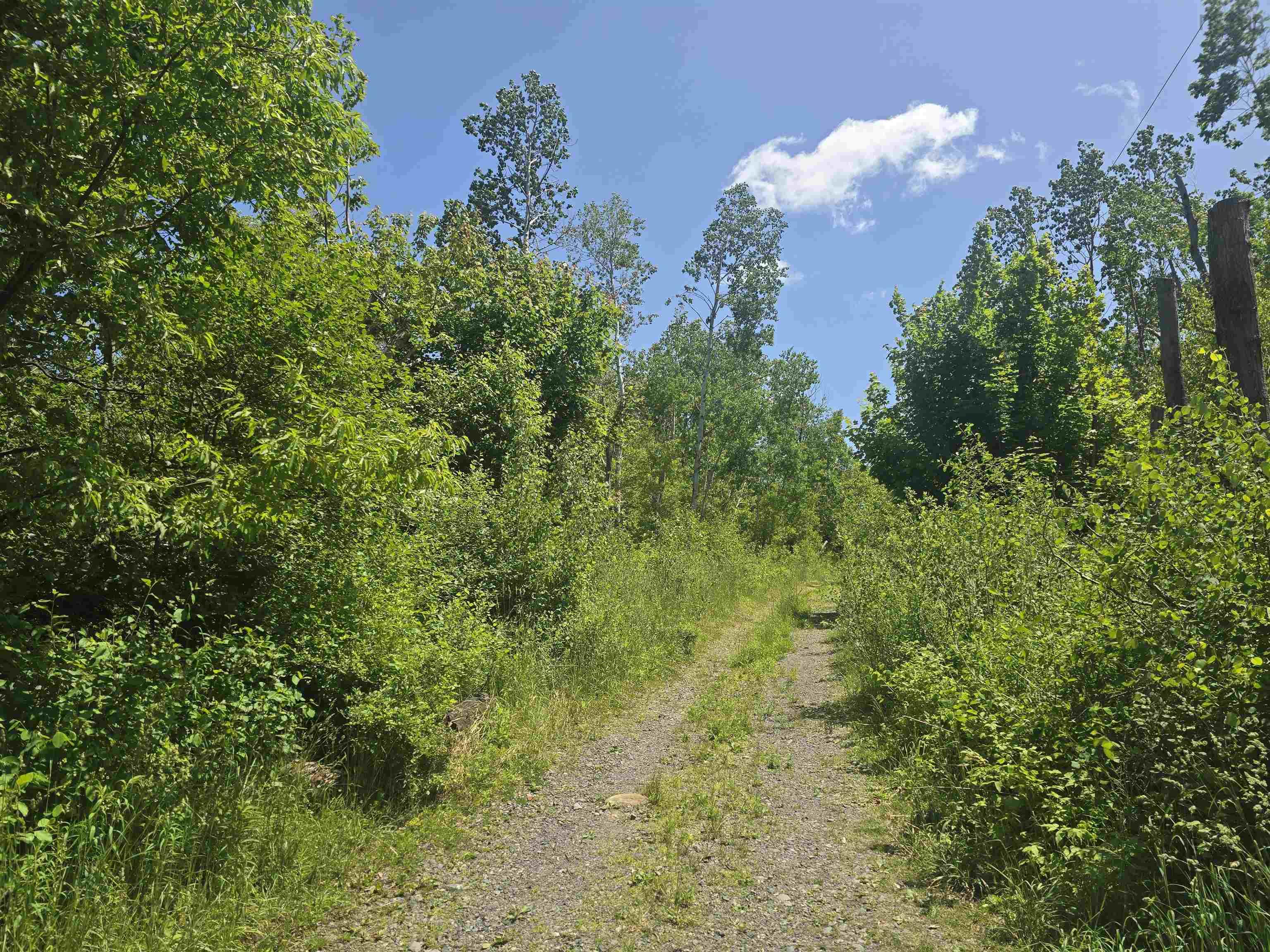 $39,500.00: Lot 3 Fourteeth Street, Trenton